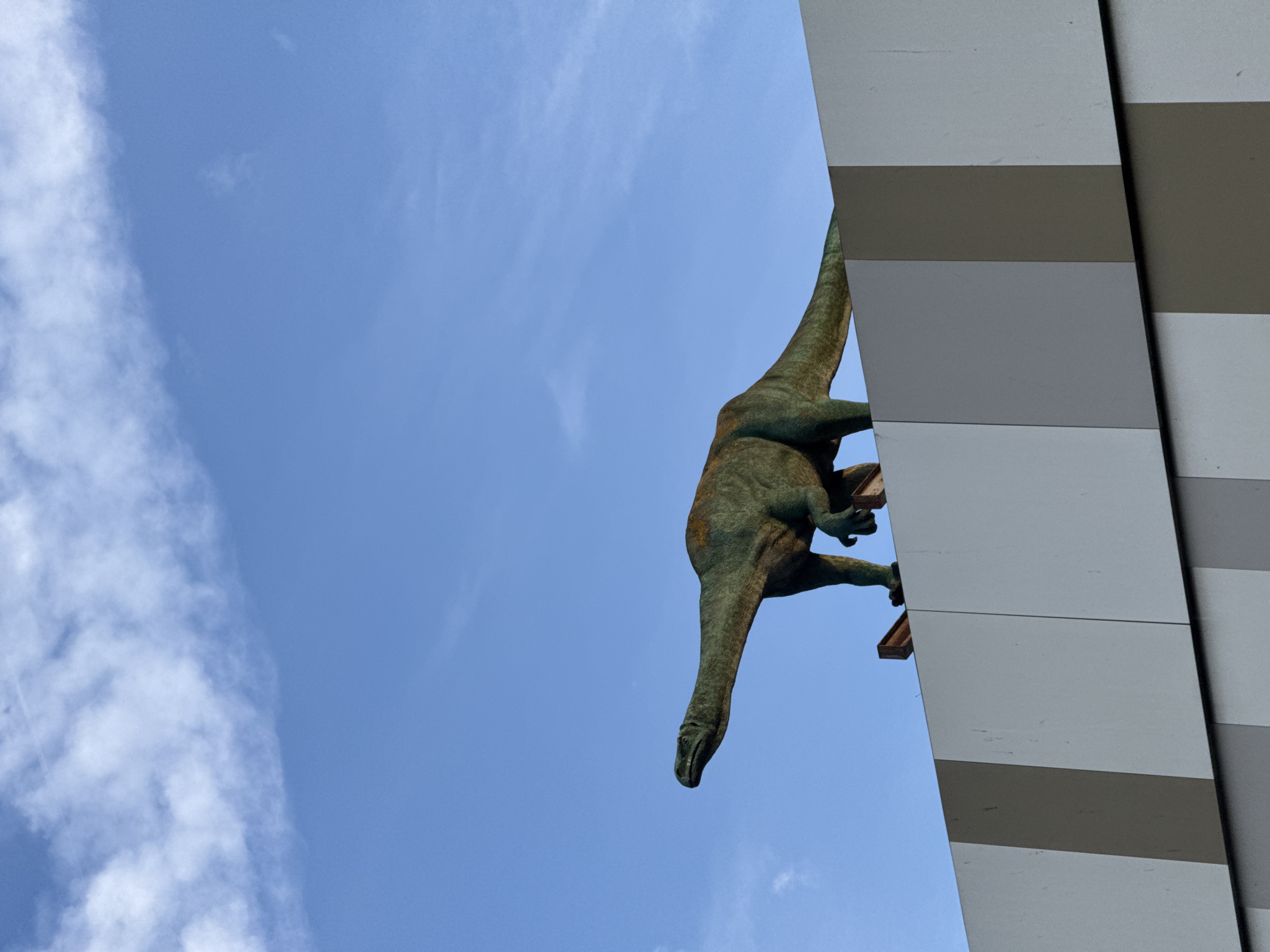 Nighttime amusement area with dinosaur statue documented in Burgas