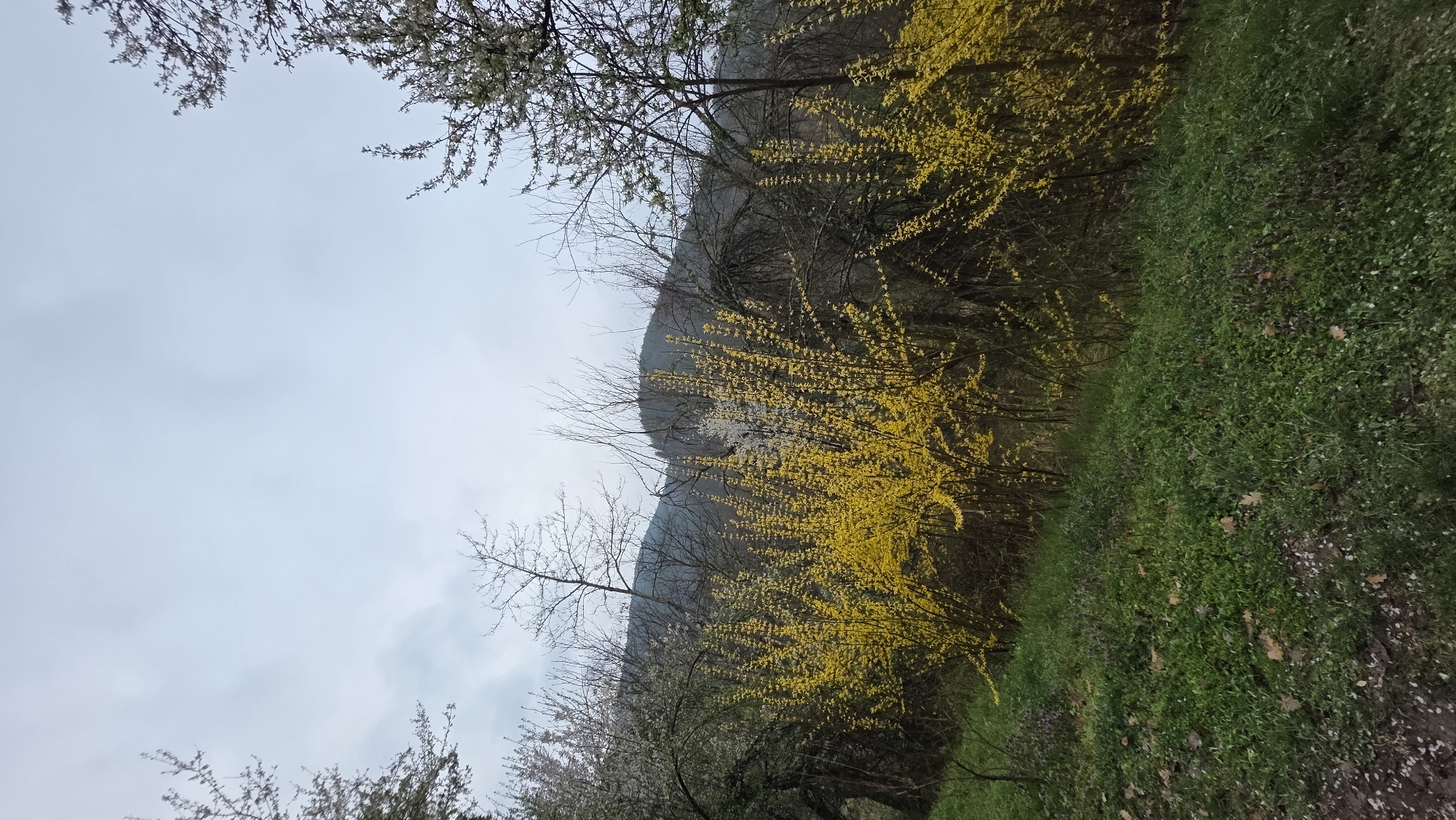 Spring morning scenes documented along Blagoevgrad roads and waterfall