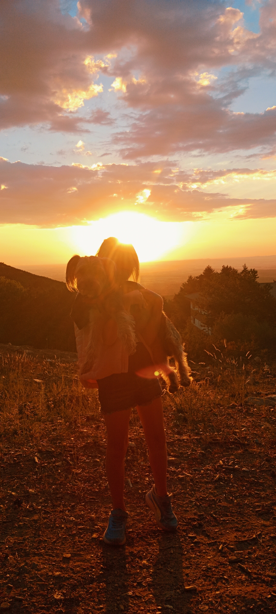Sunset evening across the Sierra de Guadarrama foothills