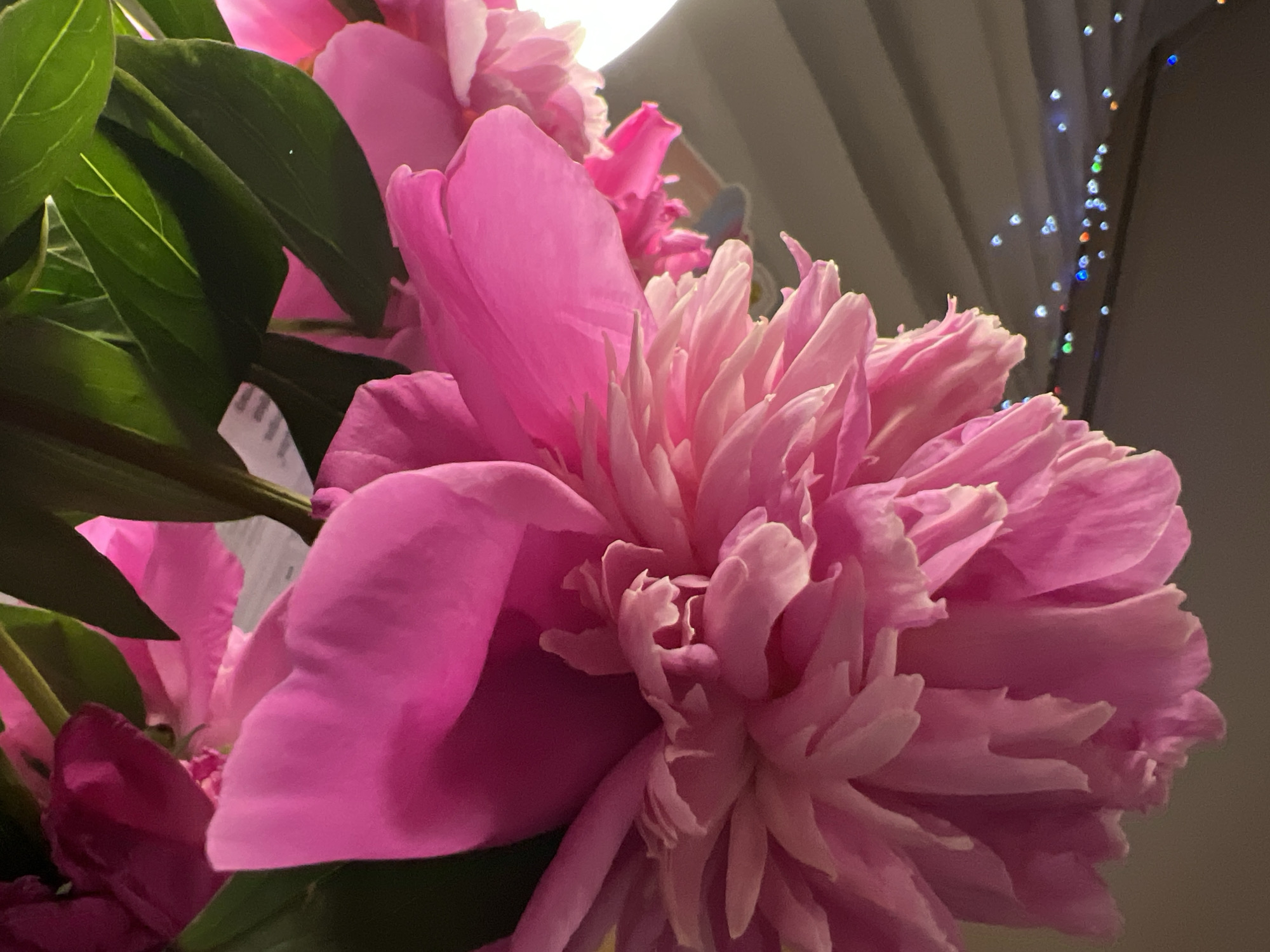 Pink peonies and decorative figurines fill a Minsk evening
