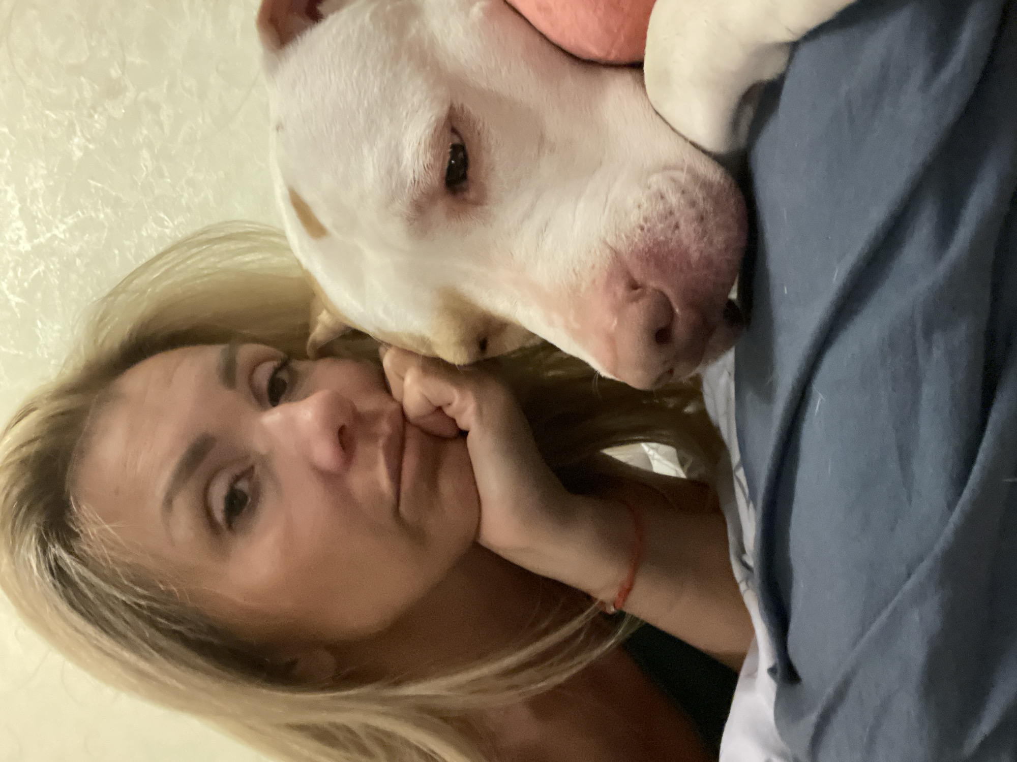 Pit bull and owner share a quiet afternoon at home