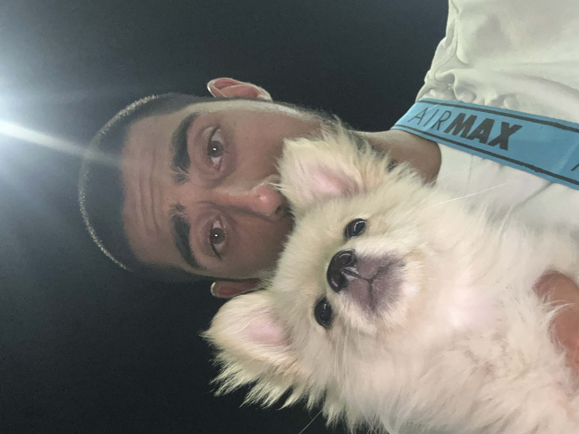 Fluffy dog steals the show at Ravda restaurant night out