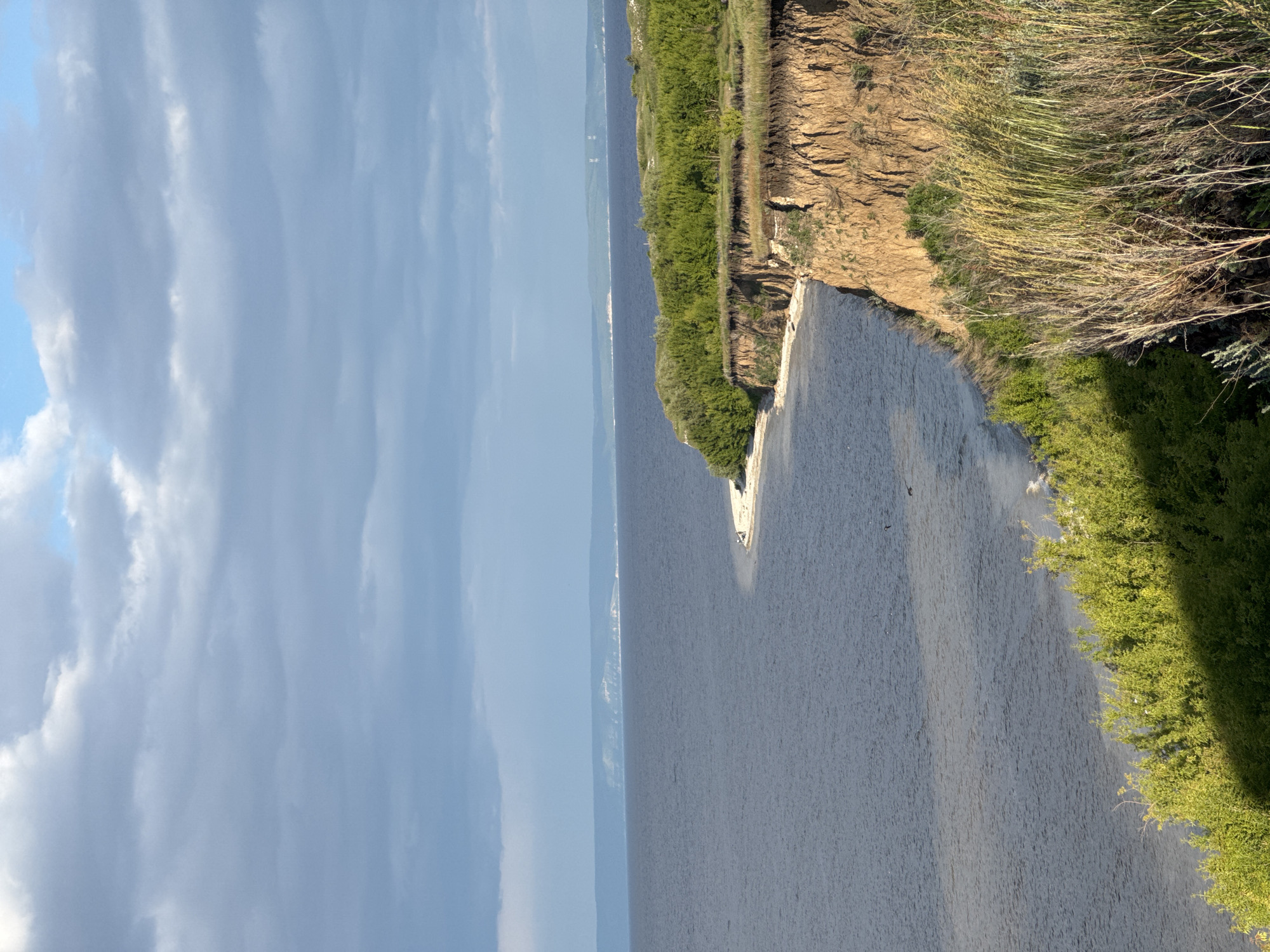 Witness documents afternoon lakeside landscape with bridge and grazing cow