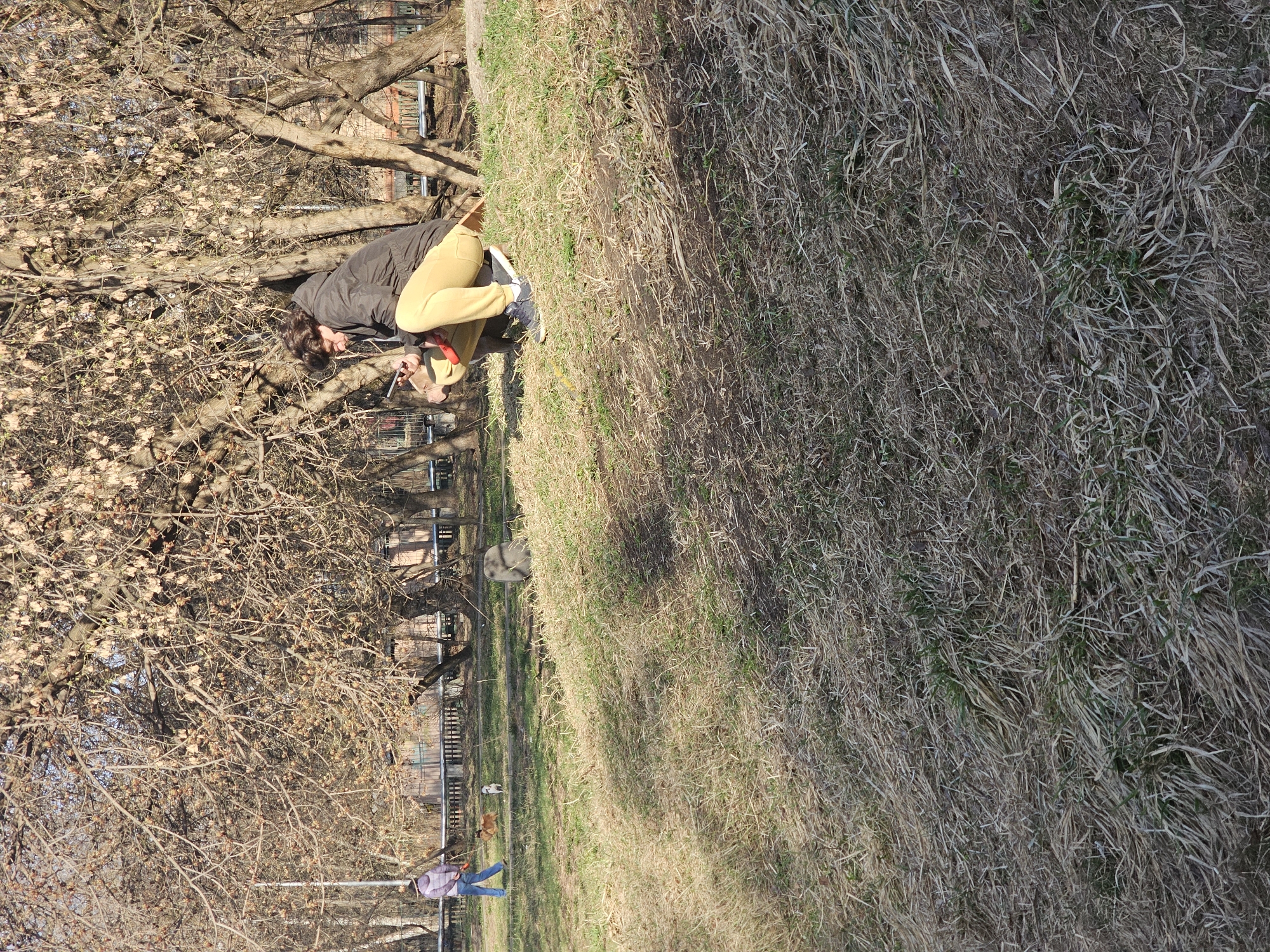 Person with tool spotted near tree in Khimki