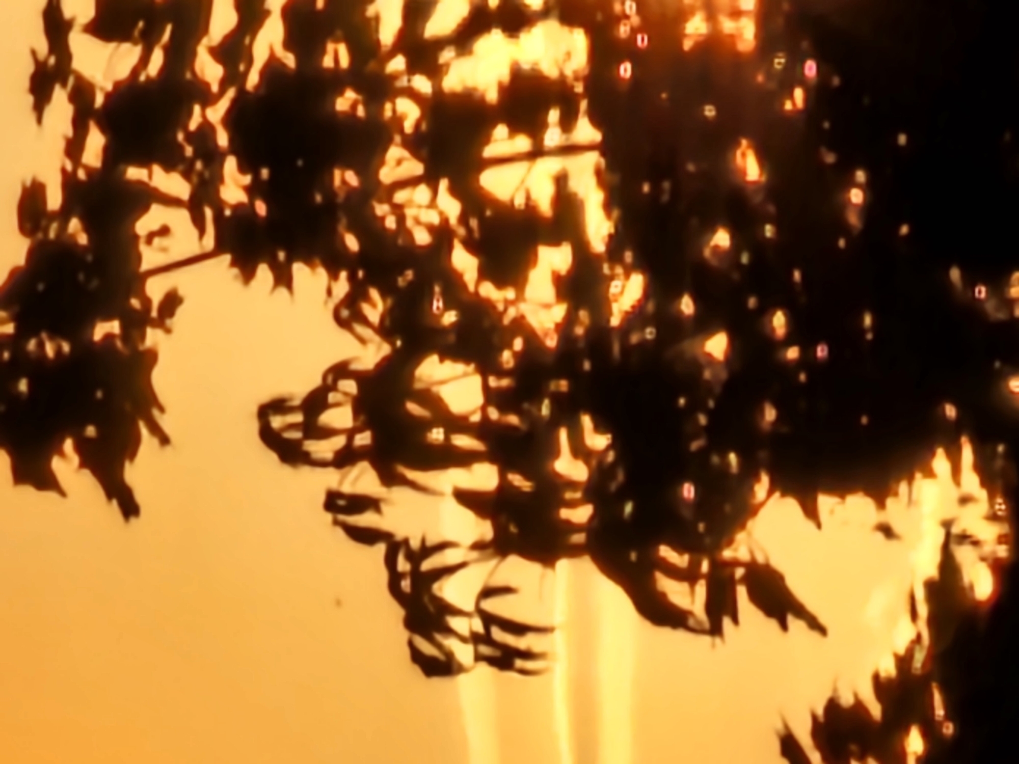 Sunset over Khimki trees, with signs of a nearby fire