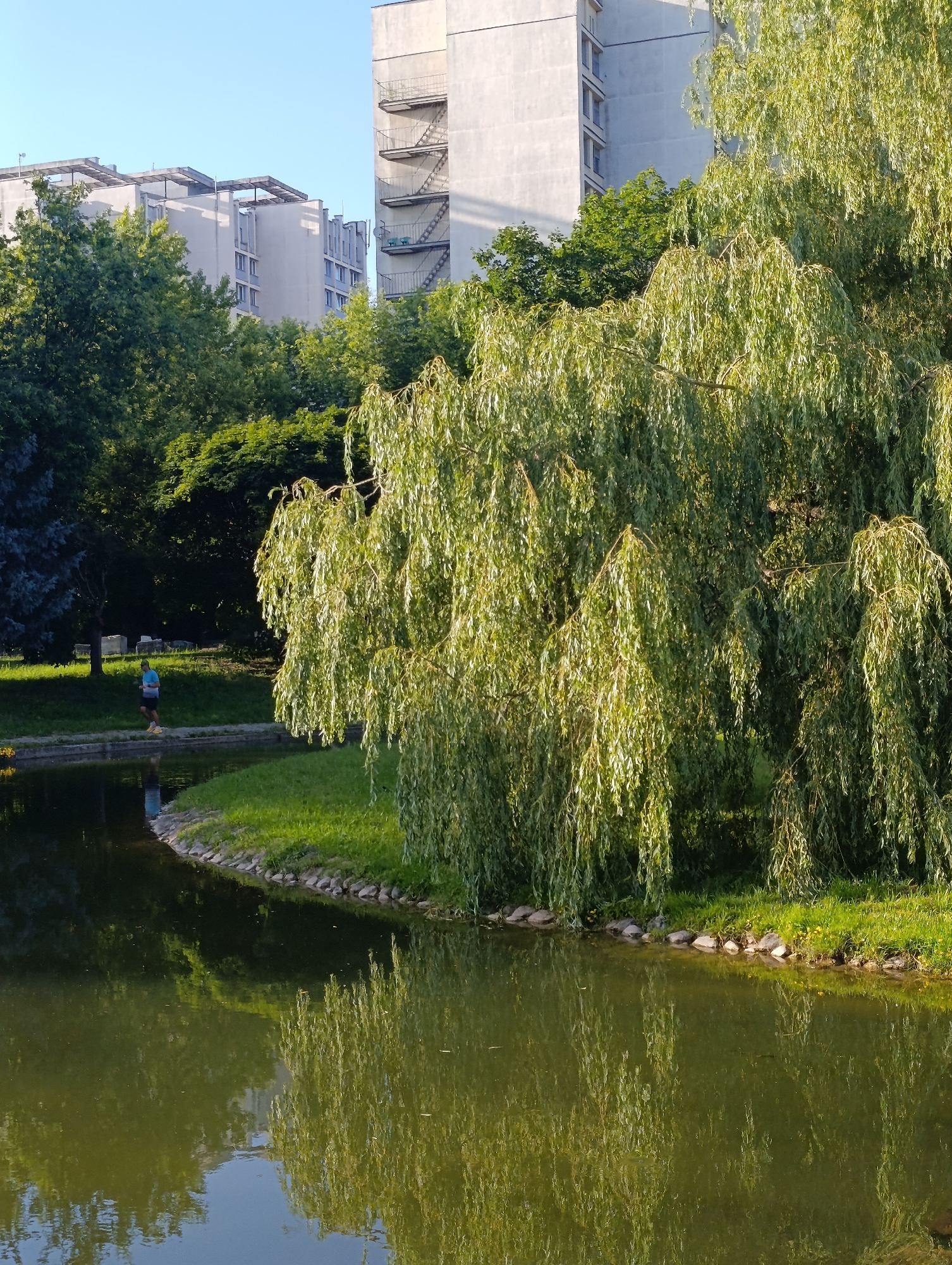 Loshitsa Park in Minsk on a clear summer afternoon