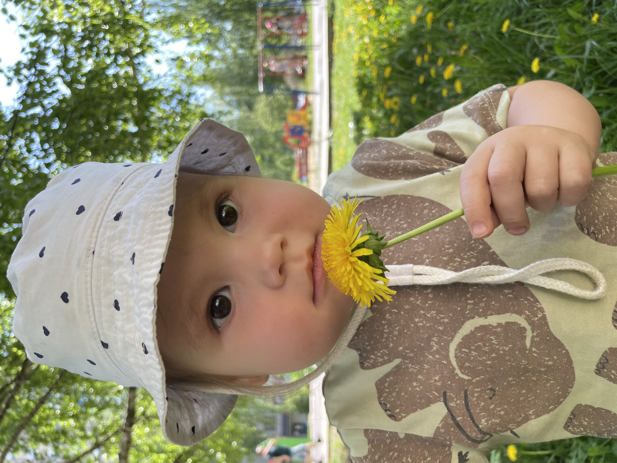 Morning family moment captured in Izhevsk park setting