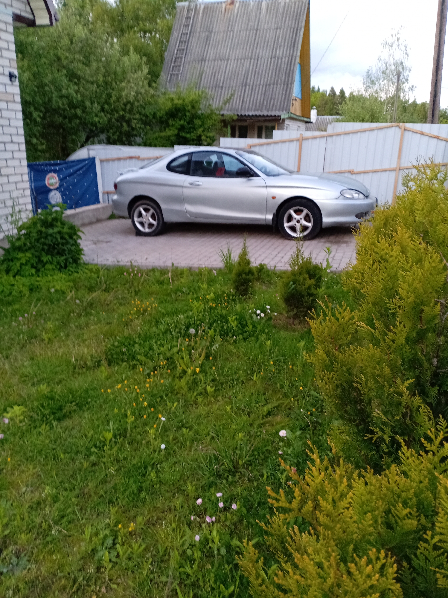Witness Documents Suburban Spring Scenes Over 38 Minutes