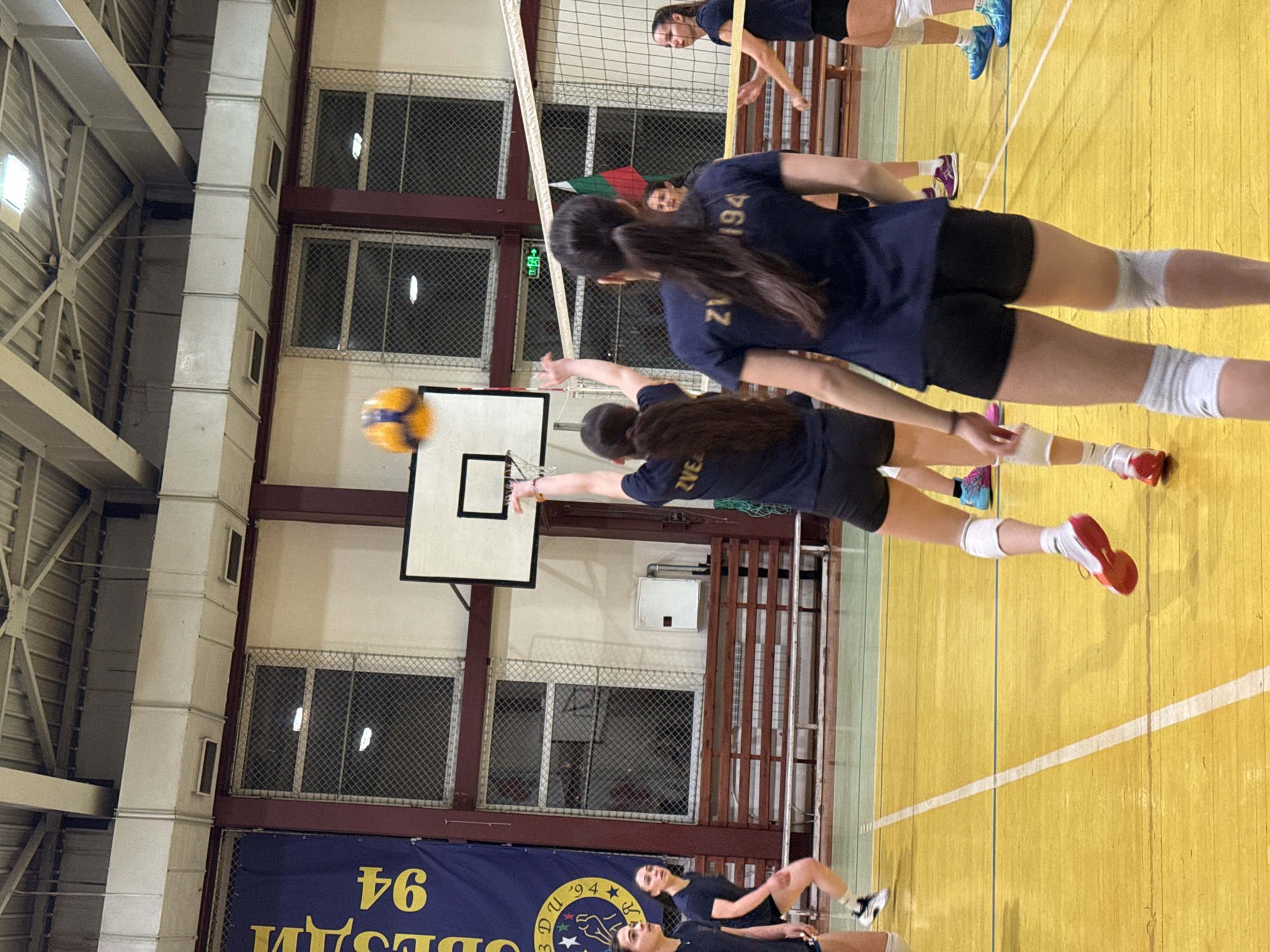 Zvezda volleyball team practices in Sofia gymnasium