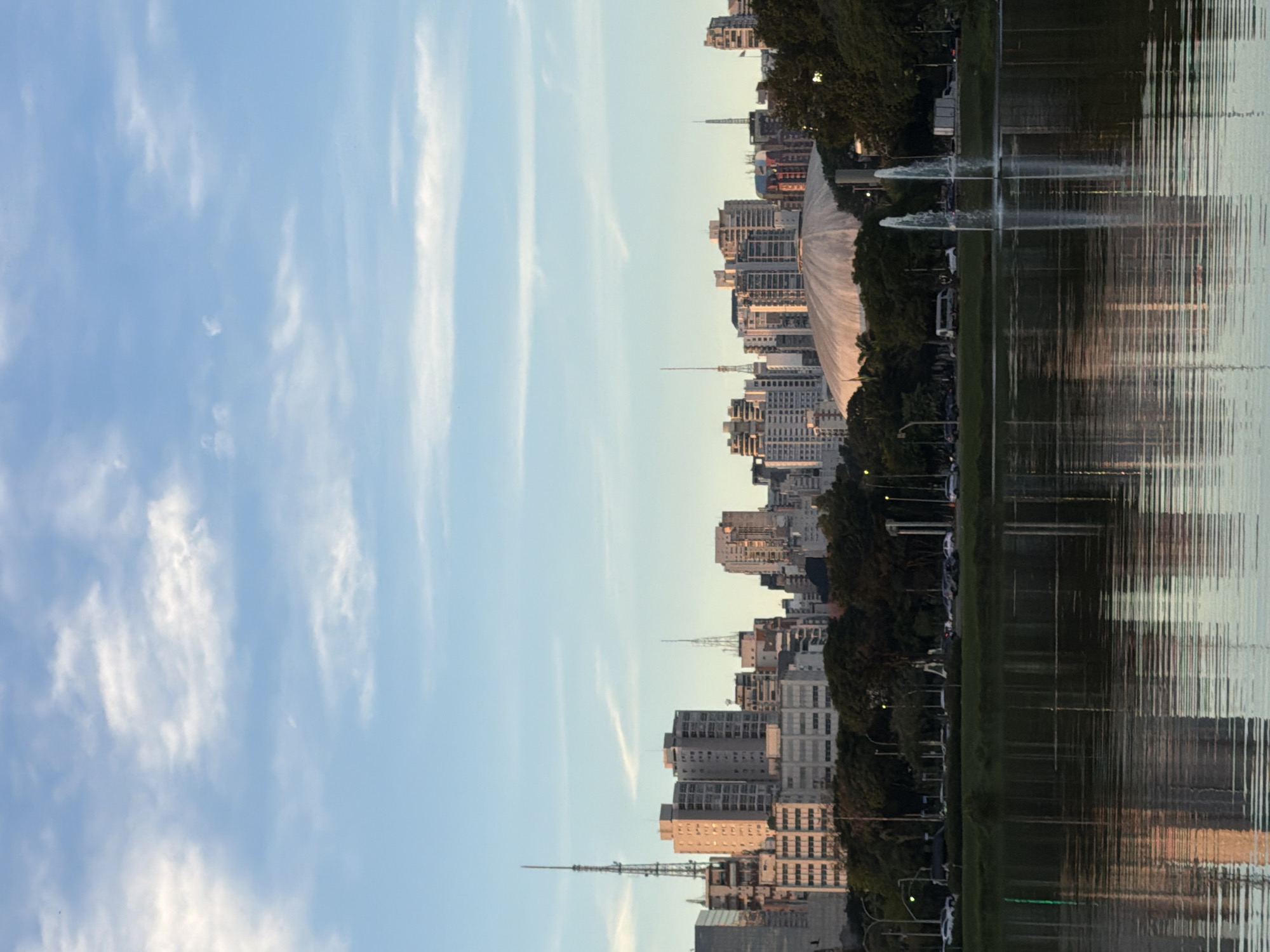 Black swans and city reflections at Ibirapuera Park, São Paulo