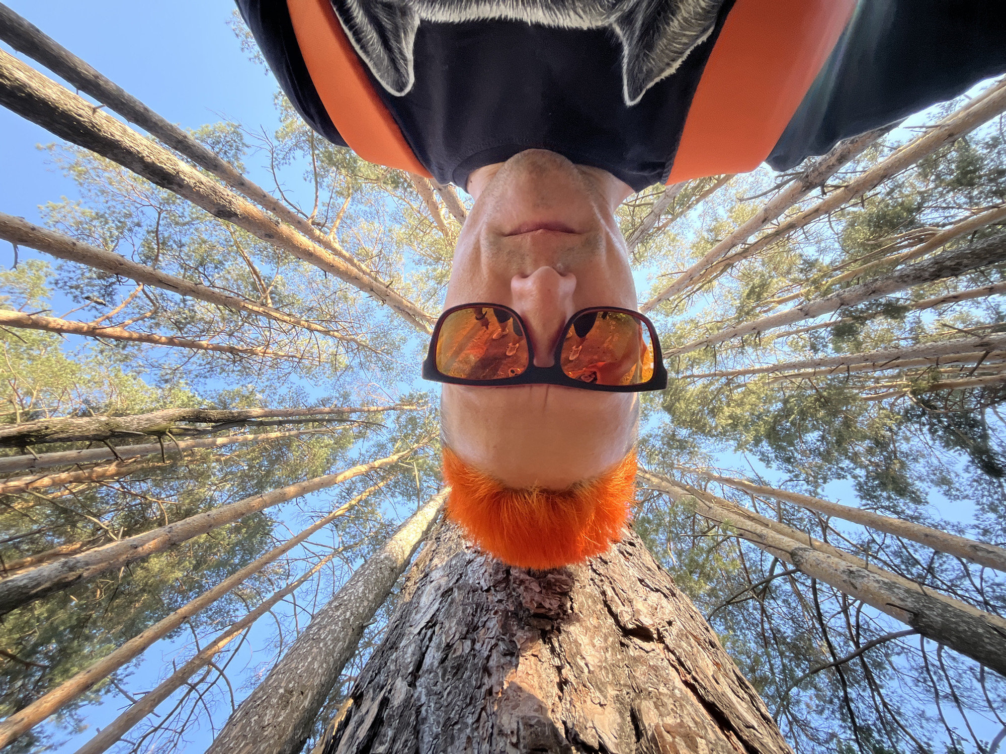 Orange-haired person photographed in Russian pine forest, Chaikovsky