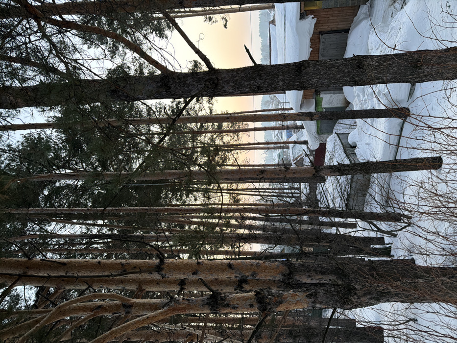 Winter morning moments documented across Chaikovsky, Russia