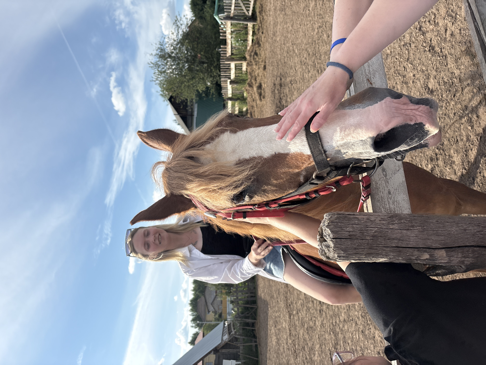 Horseback riding on a sunny afternoon outside Perm, Russia