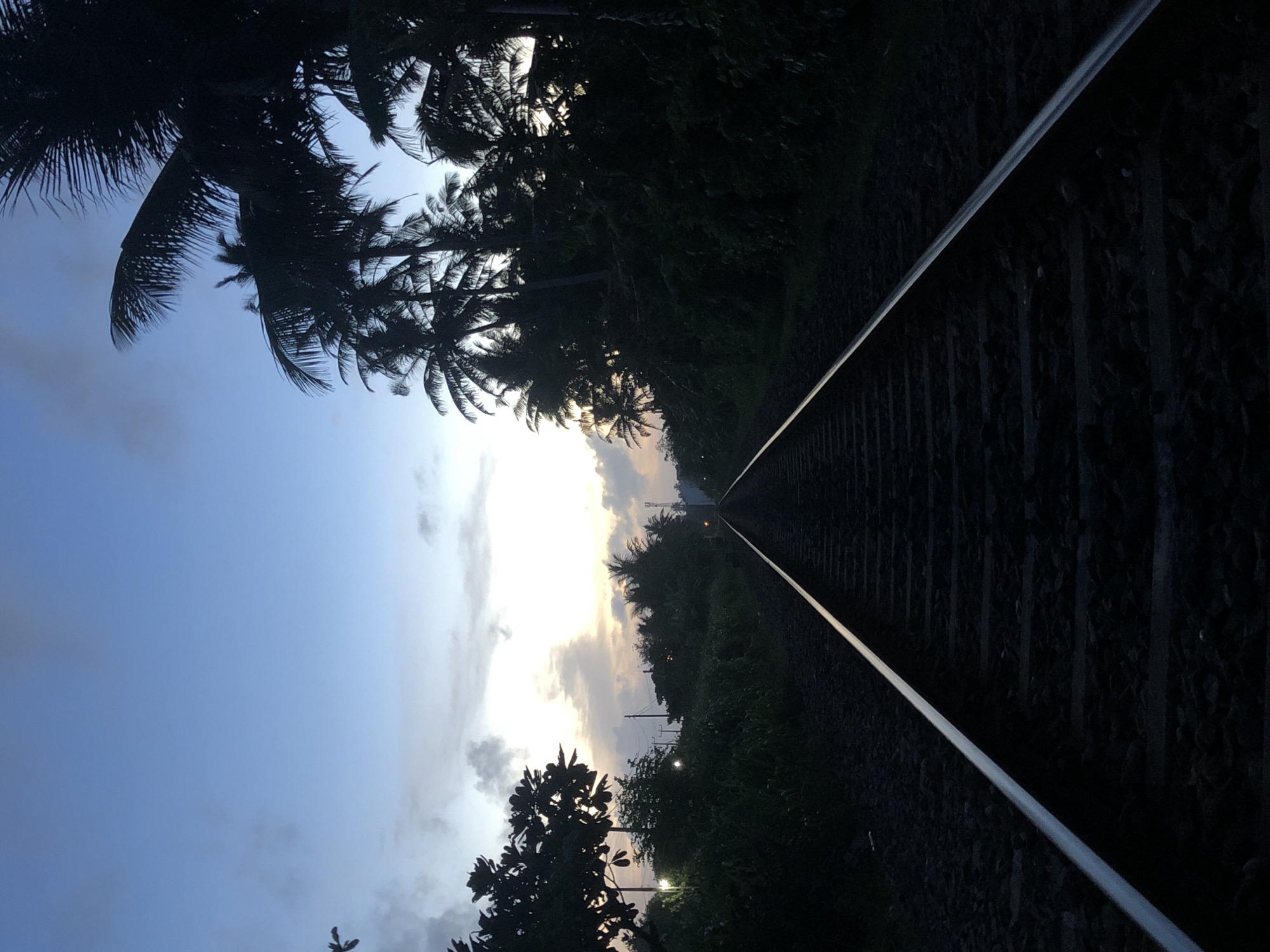 Train track through tropical foliage in Koggala, Sri Lanka