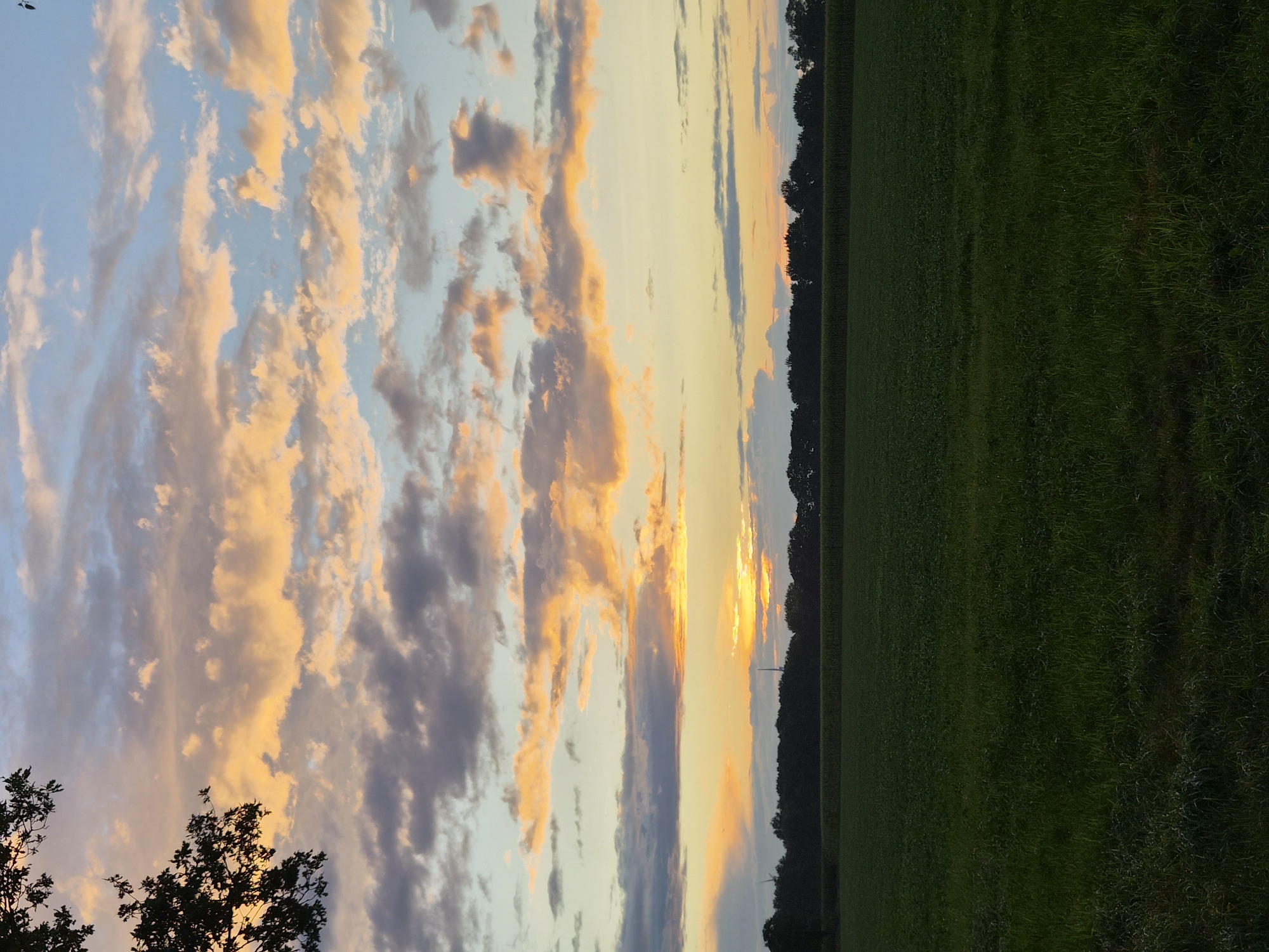 Dusk walk through Schiffdorf's quiet rural edges