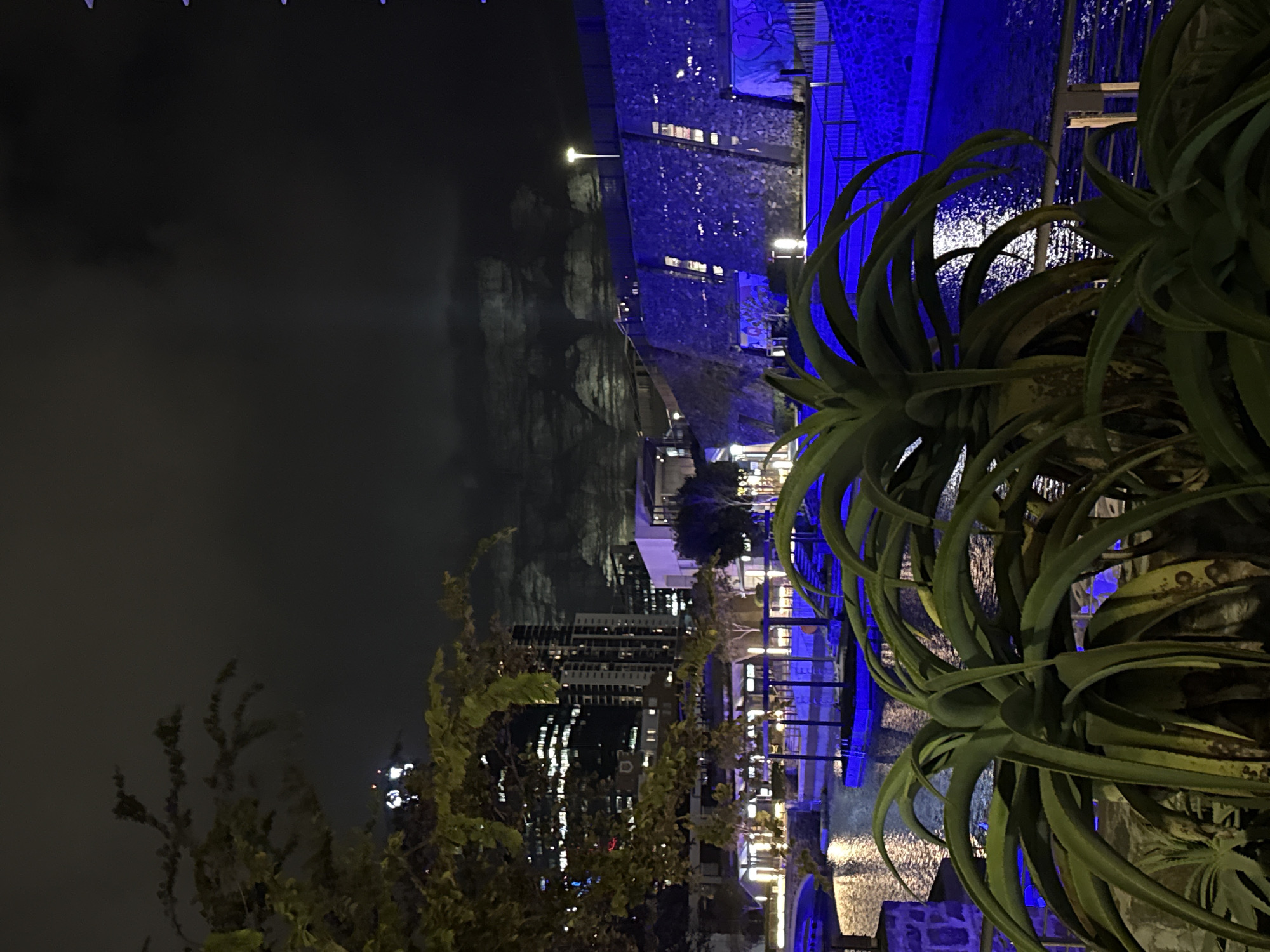 Cape Town waterfront and luxury car showroom documented in evening