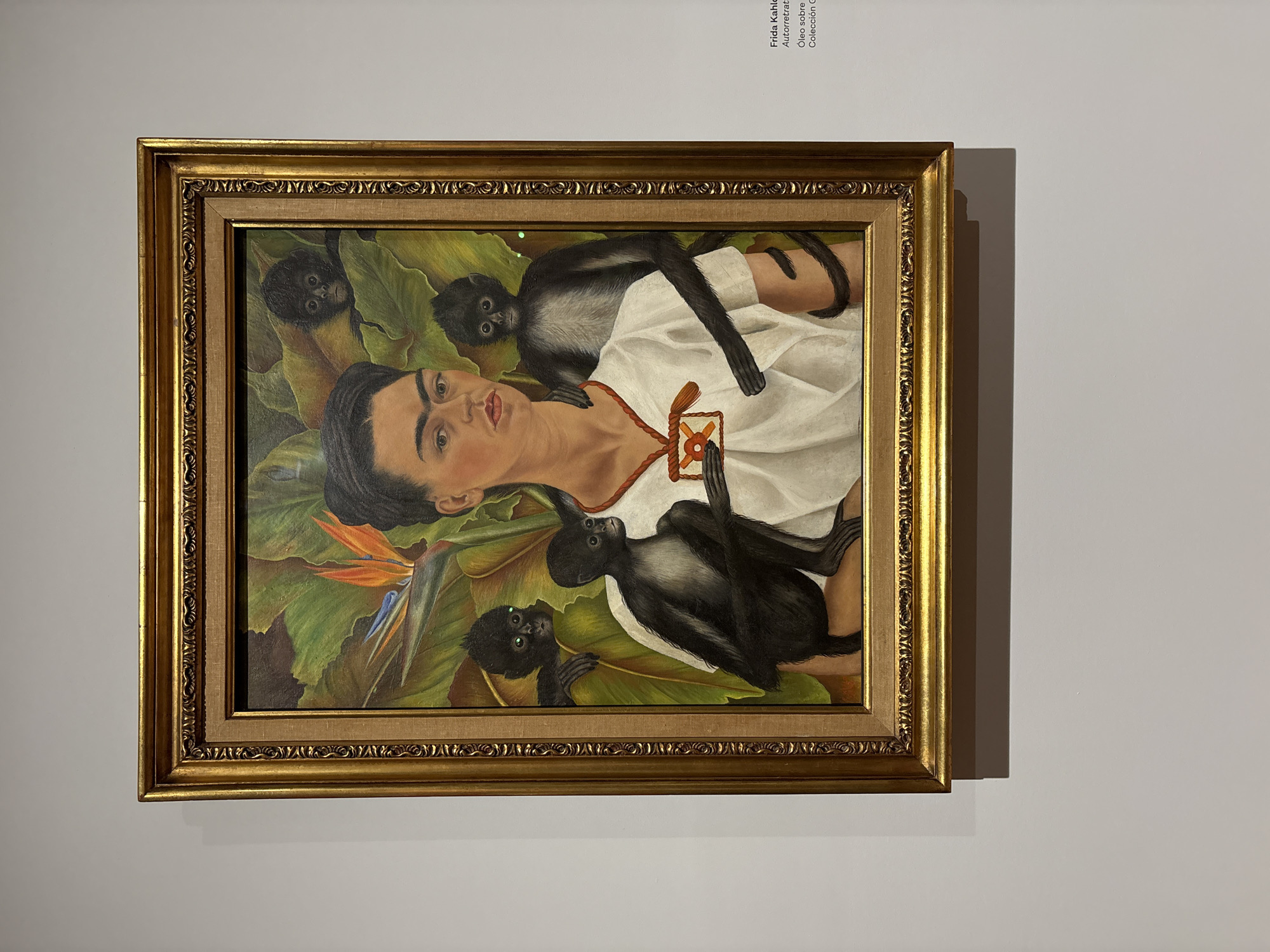 Museum visitors document Frida Kahlo artwork in Mexico City