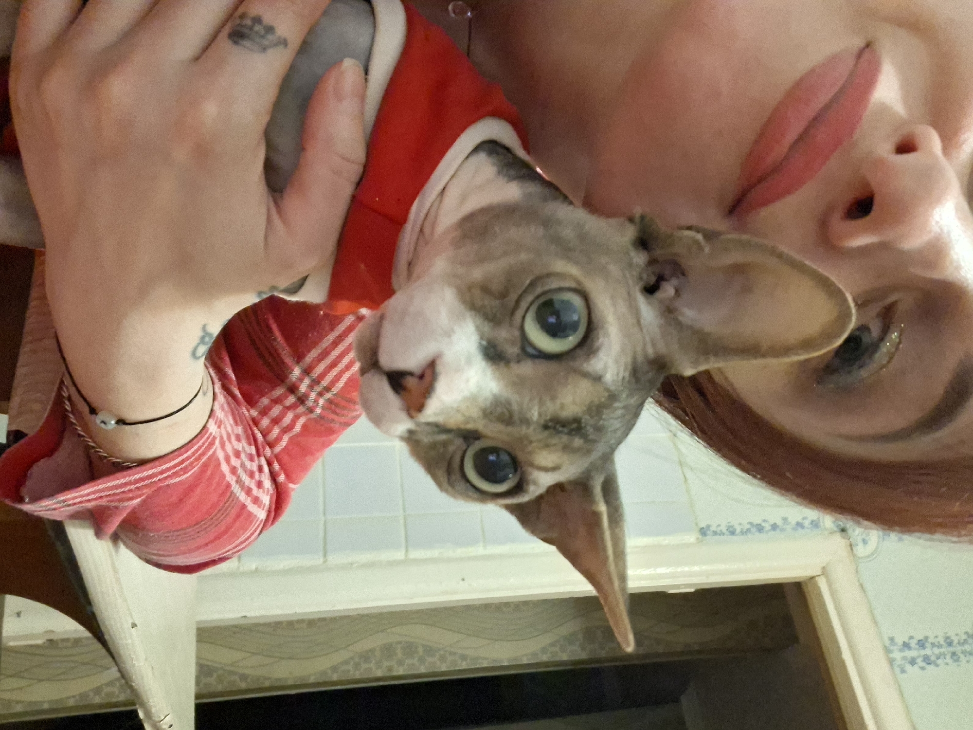 Couple documents afternoon with hairless cat in rural Belarus