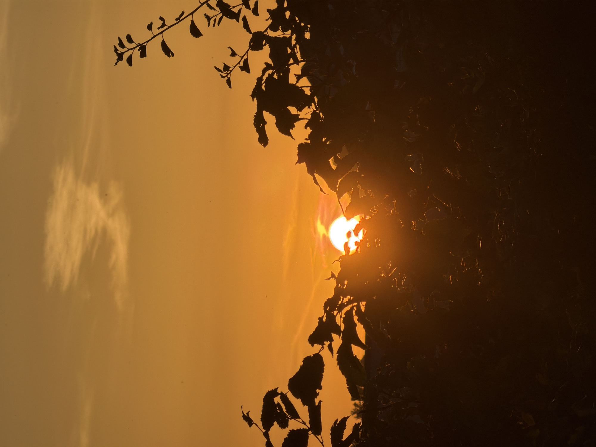 Golden hour in Junglinster, Luxembourg
