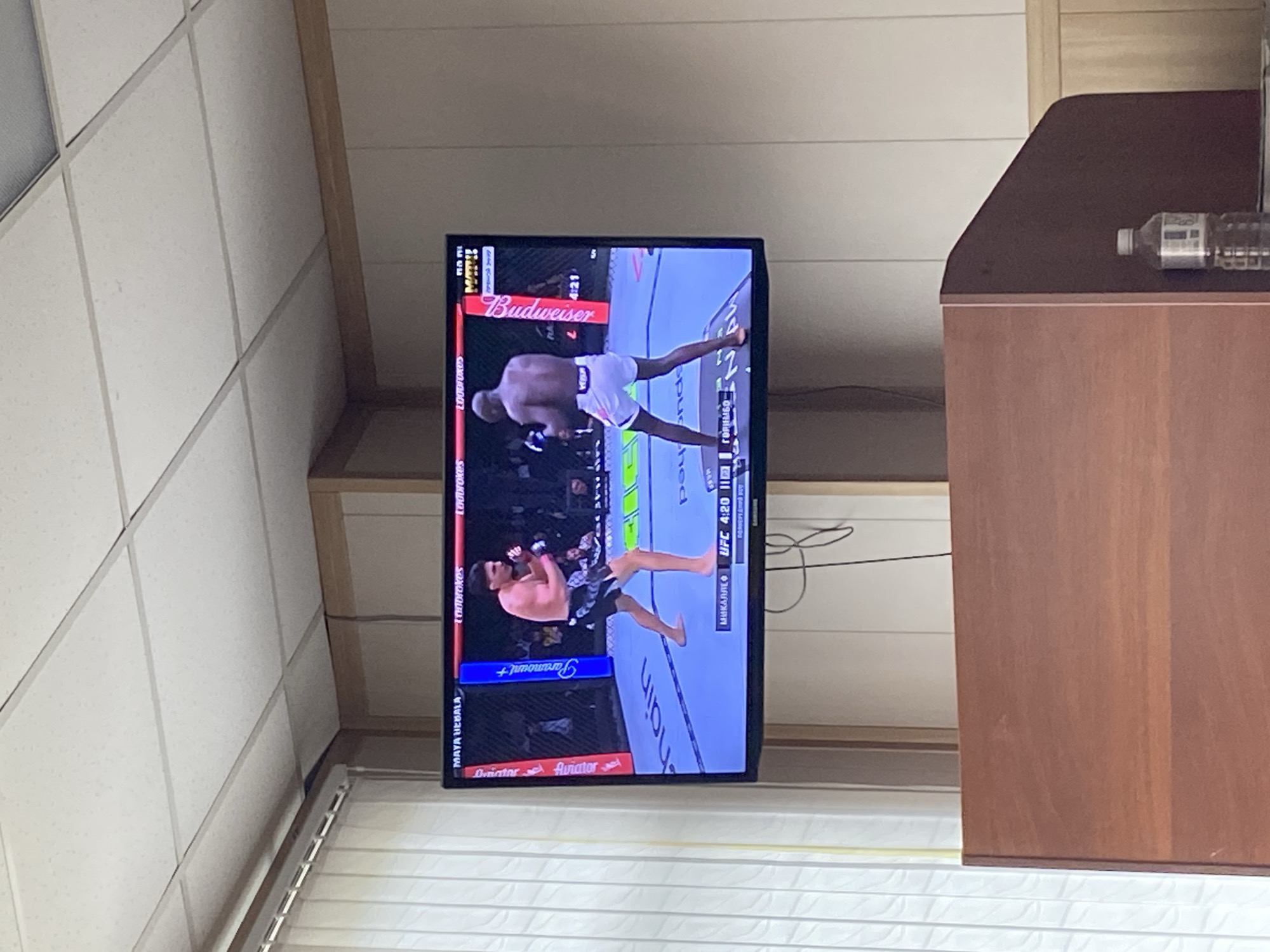 UFC Fight Featuring Maya Hebala Broadcast in Sochi