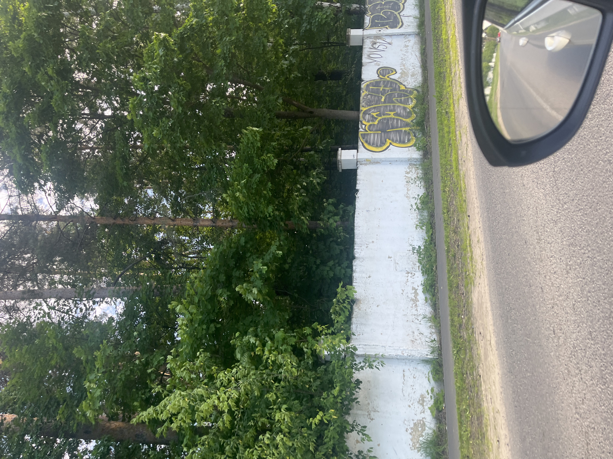 Graffitied fence spotted amid greenery in Vasilyevo, Russia