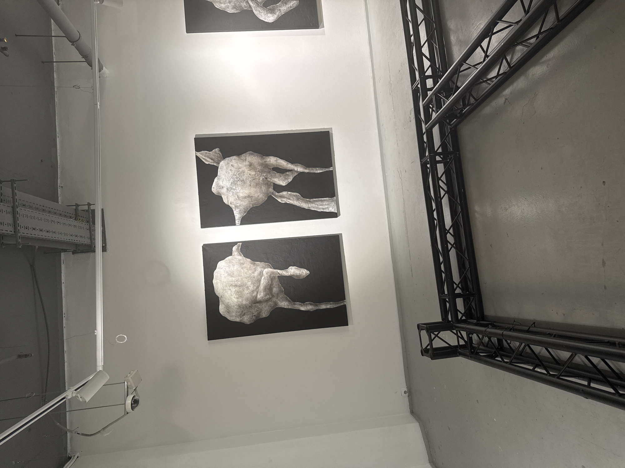 Abstract art display observed in minimalist gallery space