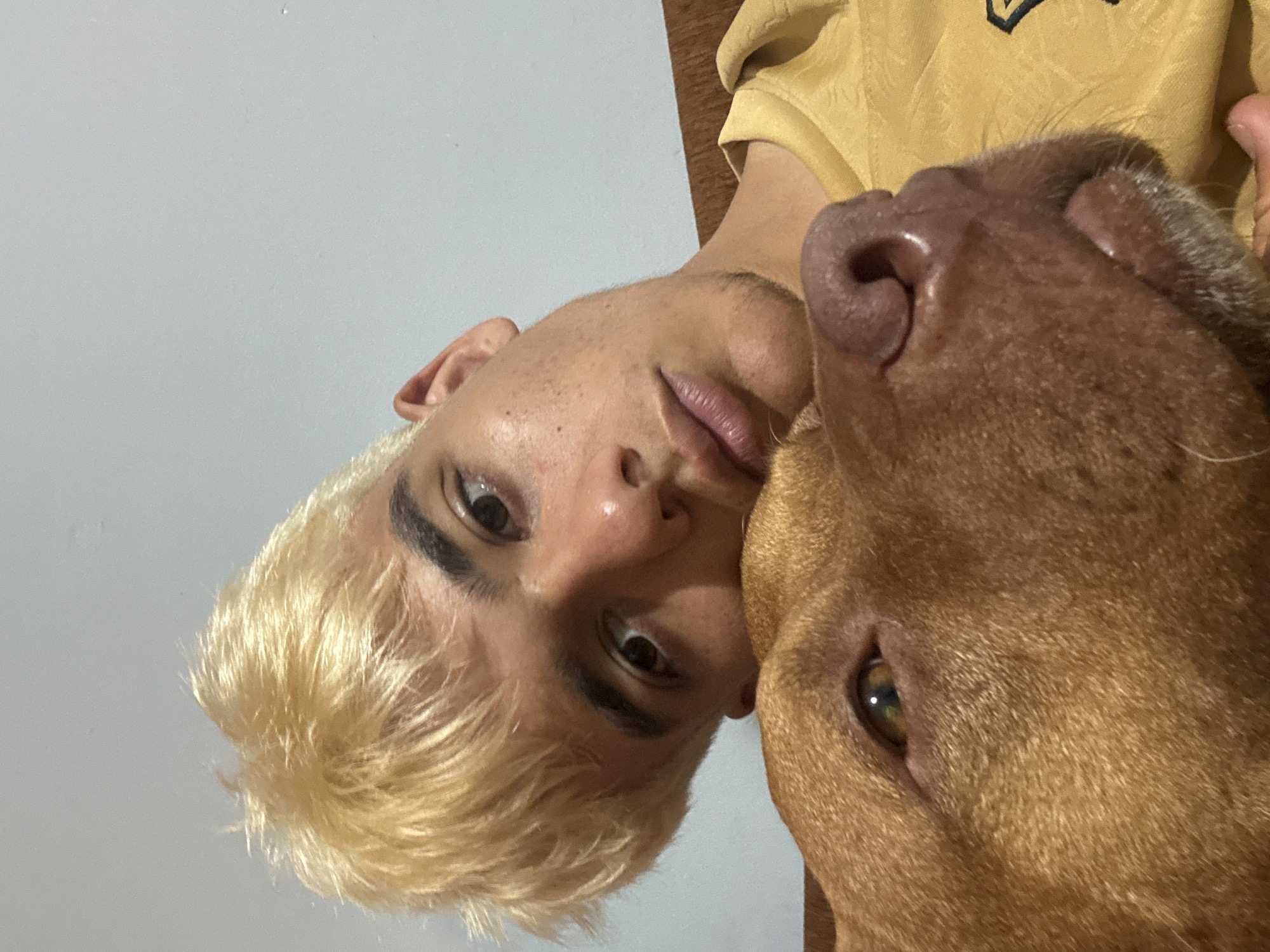 Young man documents tender moments with pit bull in Sofia