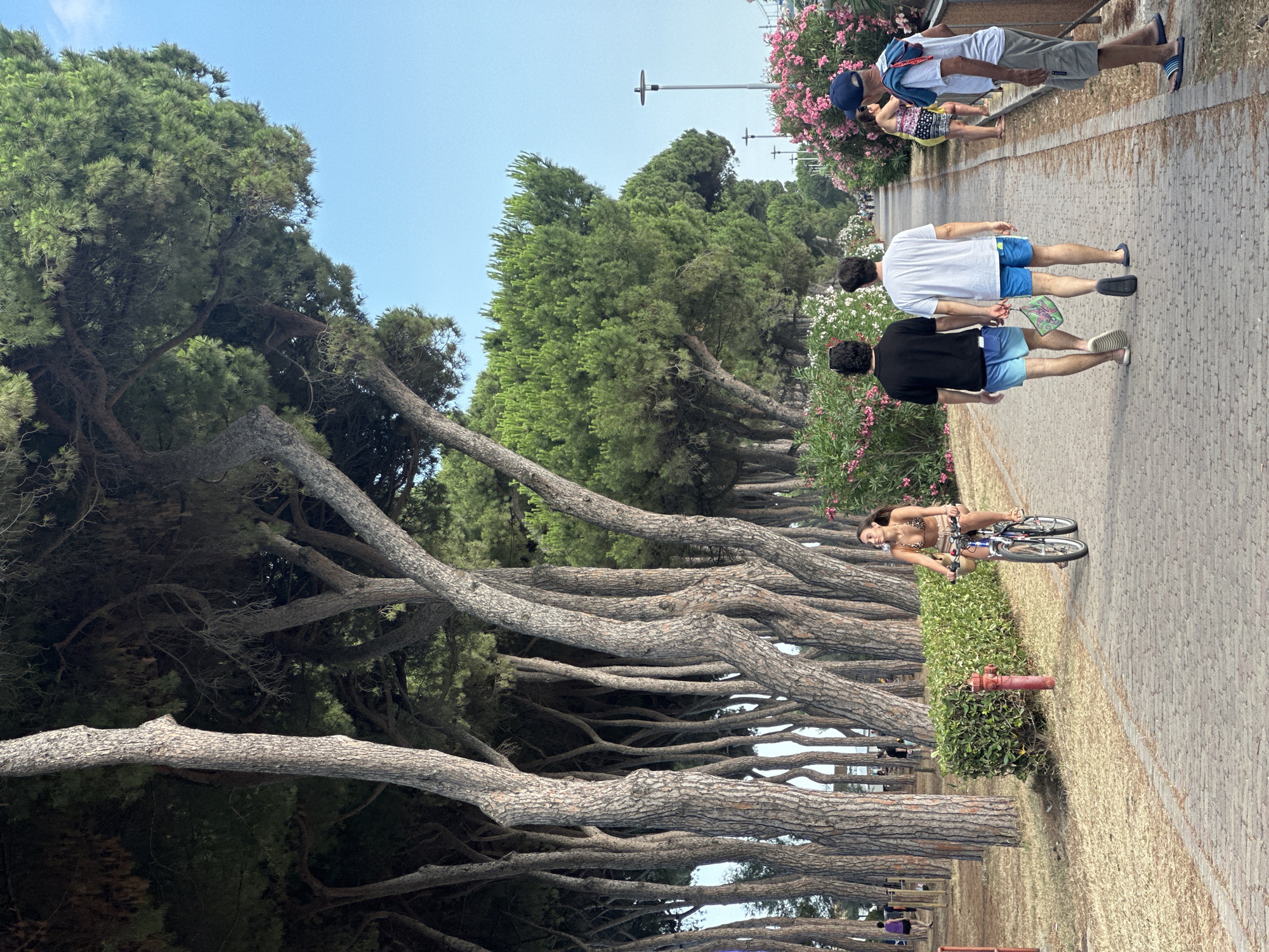 Afternoon stroll through Pineto's pine-lined streets and station