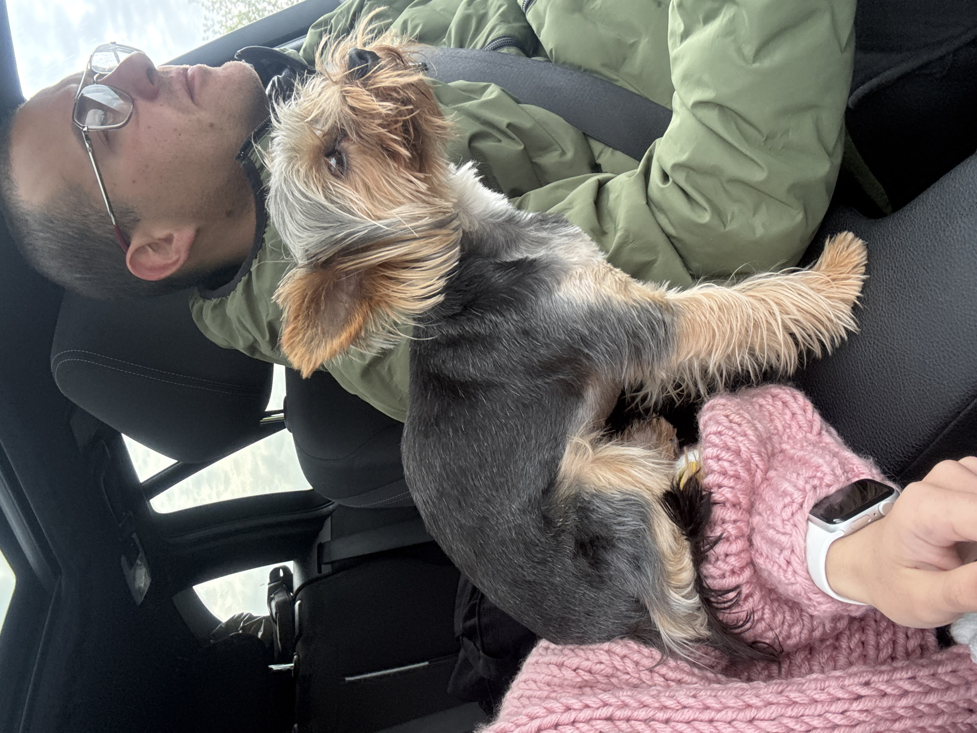 Morning car ride with dog captured in Kipra