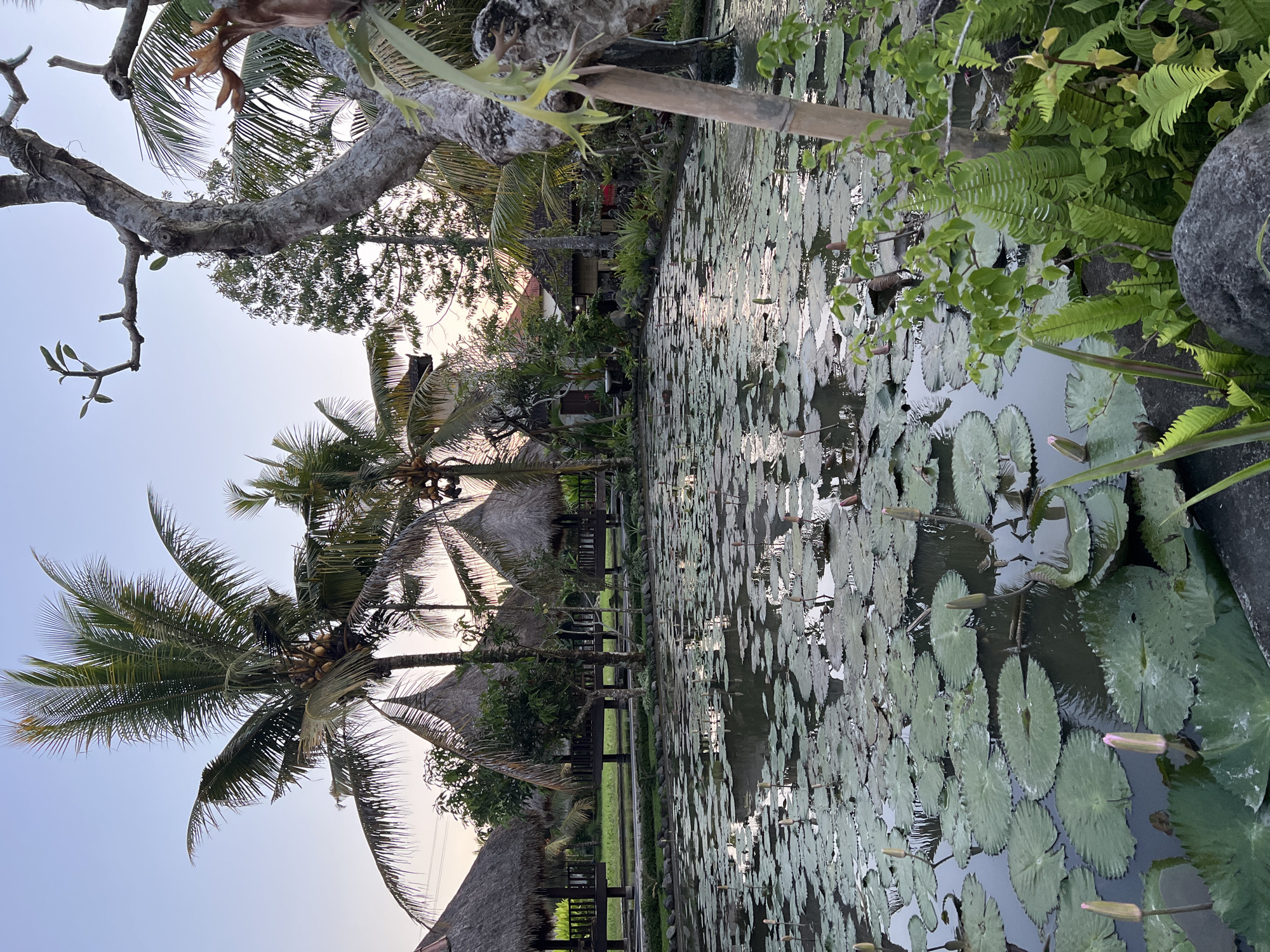 Tourist captures Ubud's gardens and rice paddies in brief visit