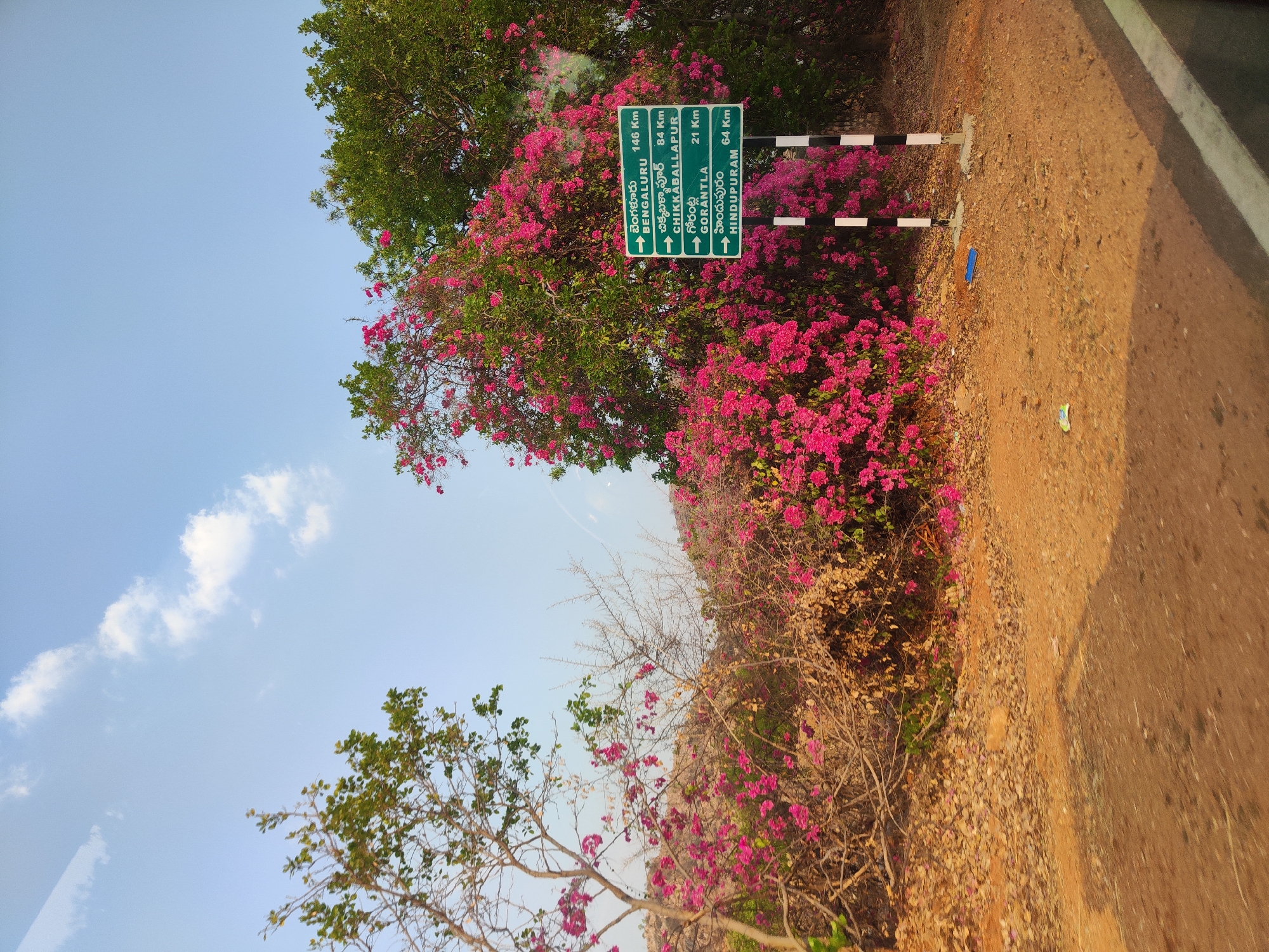 Rural roadside scene documented in Bade Nayak Thanda, India