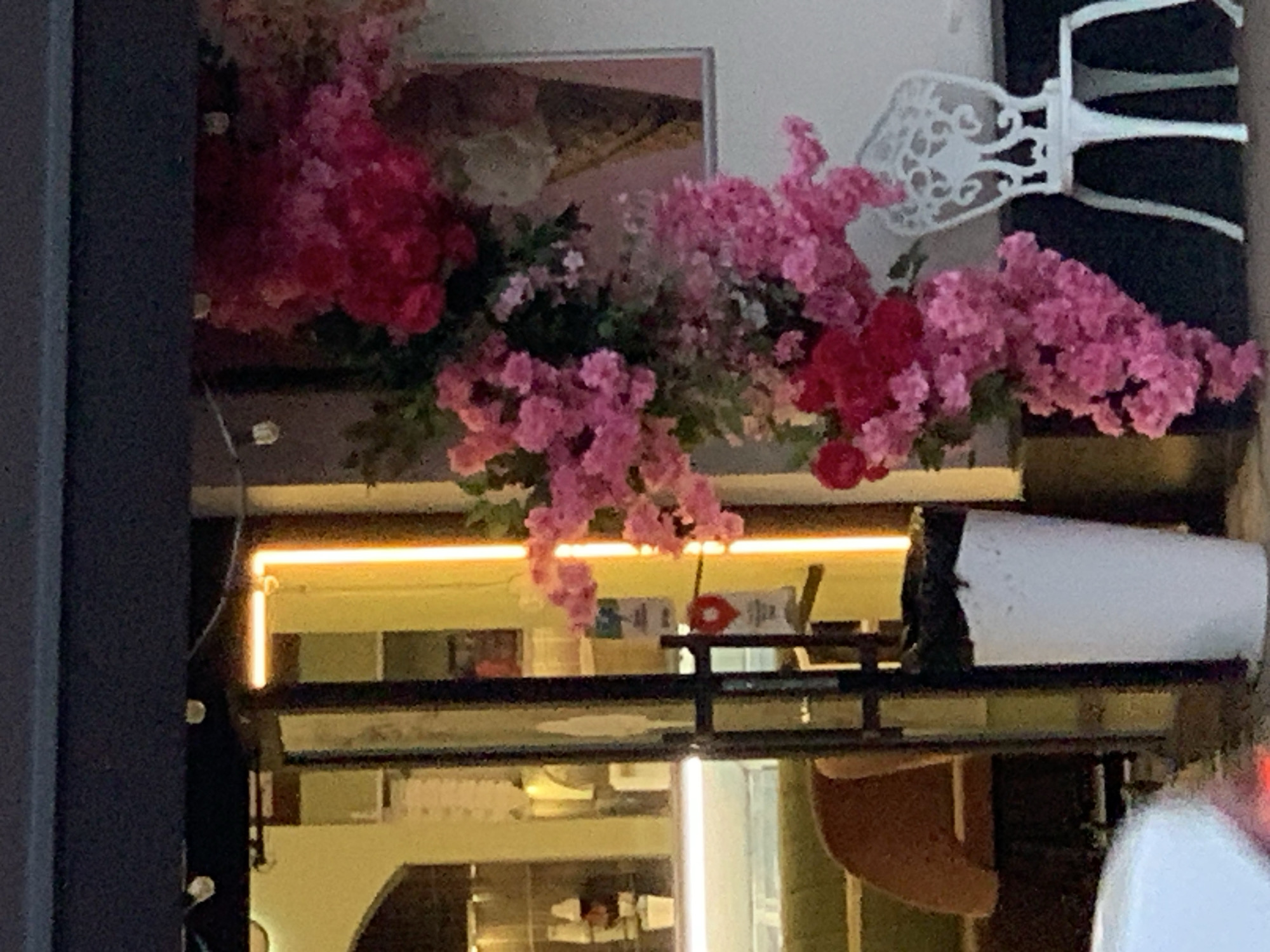 Evening stroll through a lit-up city with flowers and trams