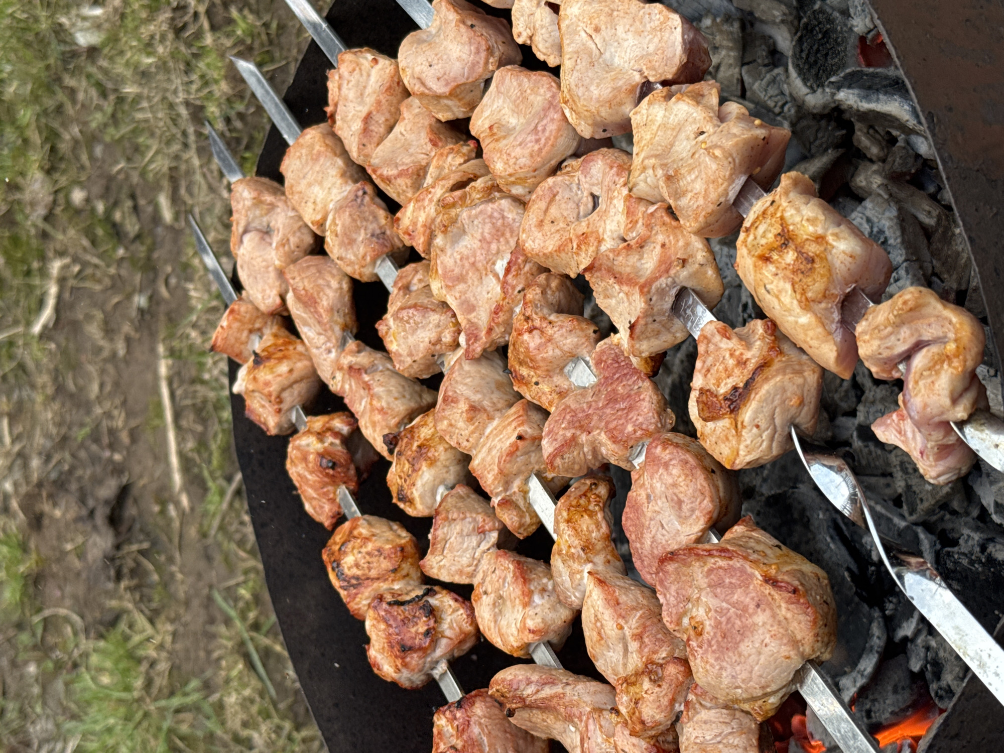 Outdoor grilling session documented in Бородулино, Russia