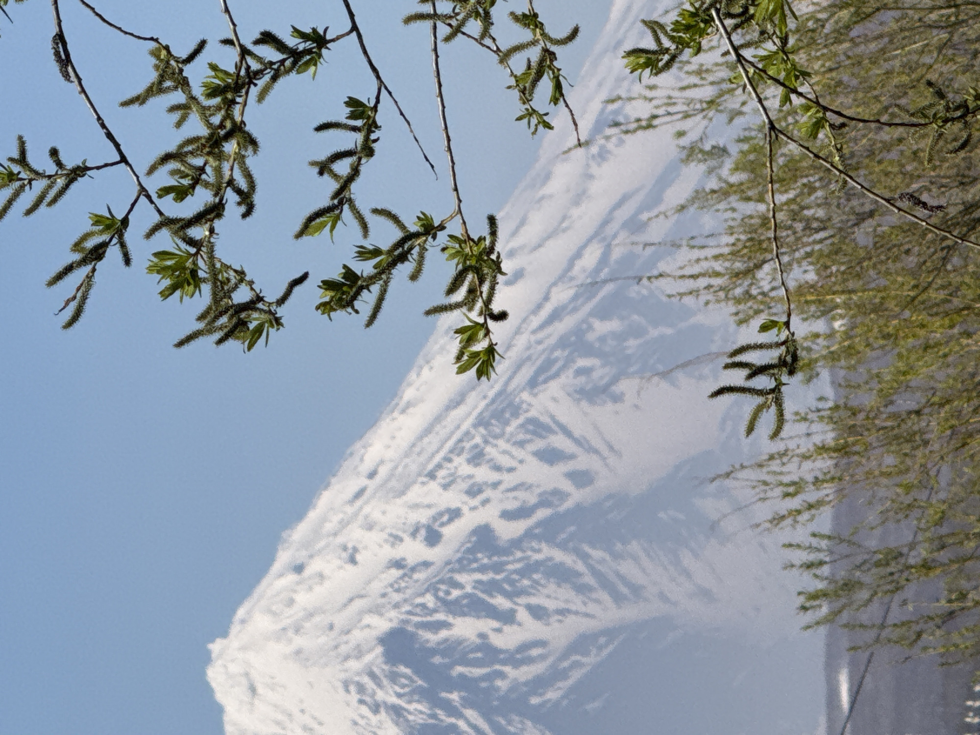 Spring morning views captured of Kamchatka volcanoes over Petropavlovsk