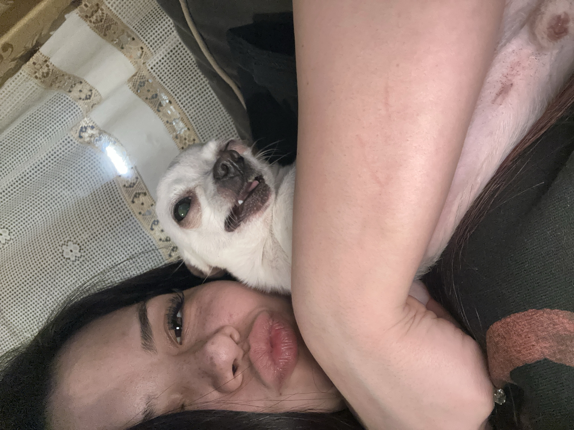 Woman and Chihuahua Share Quiet Evening in Bulgarian Village