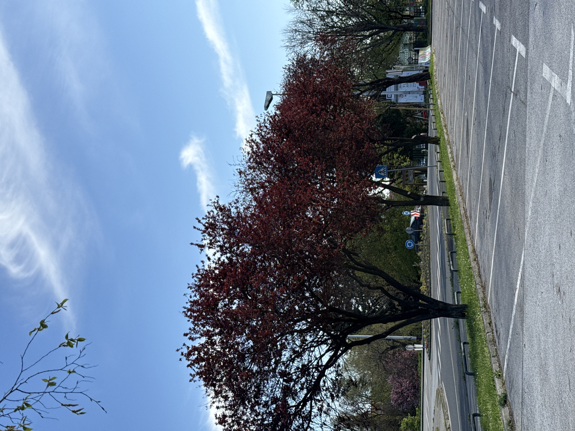 Morning scenes of Zagreb parking lot and bicycle path captured