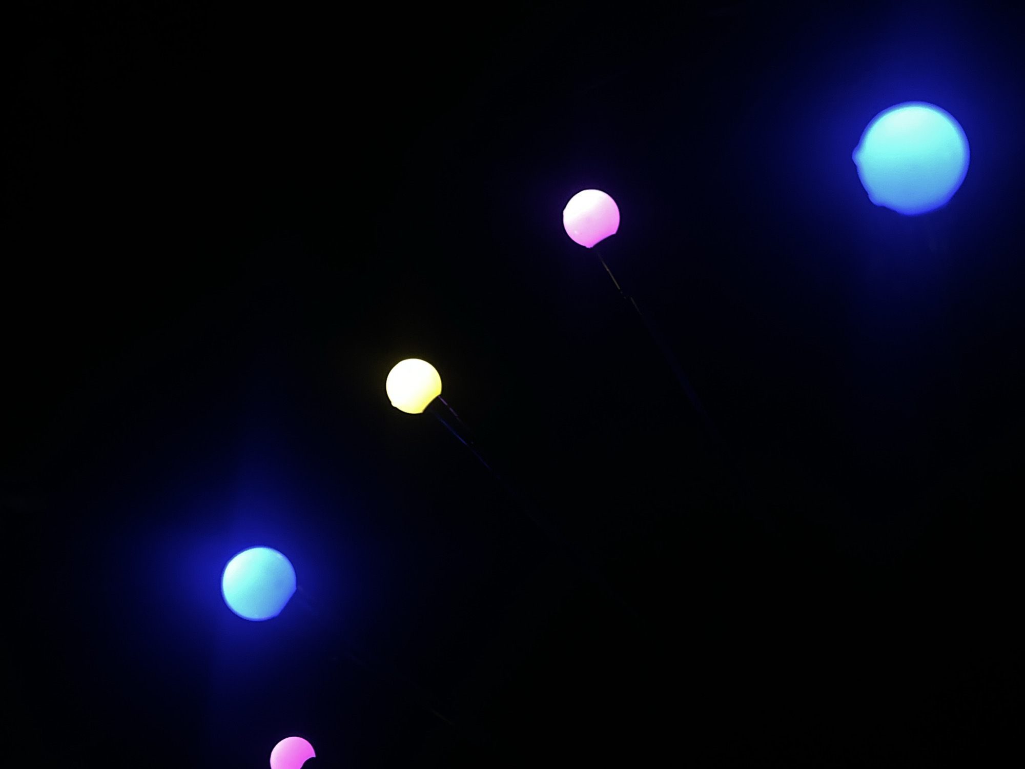 Snails and illuminated orbs observed in Novopokrovskaya, Russia
