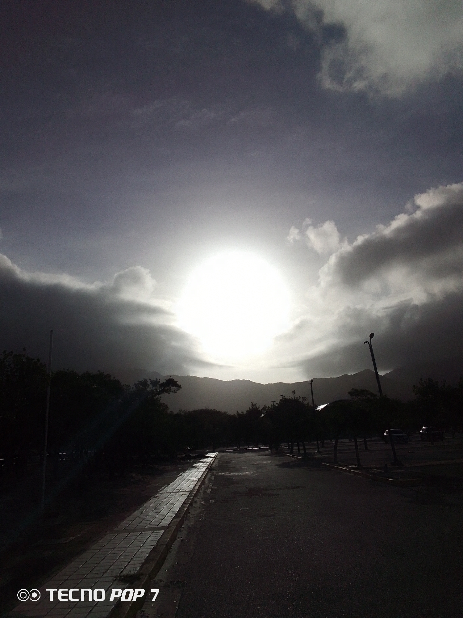 Tropical morning scenes documented in Pedro González, Venezuela