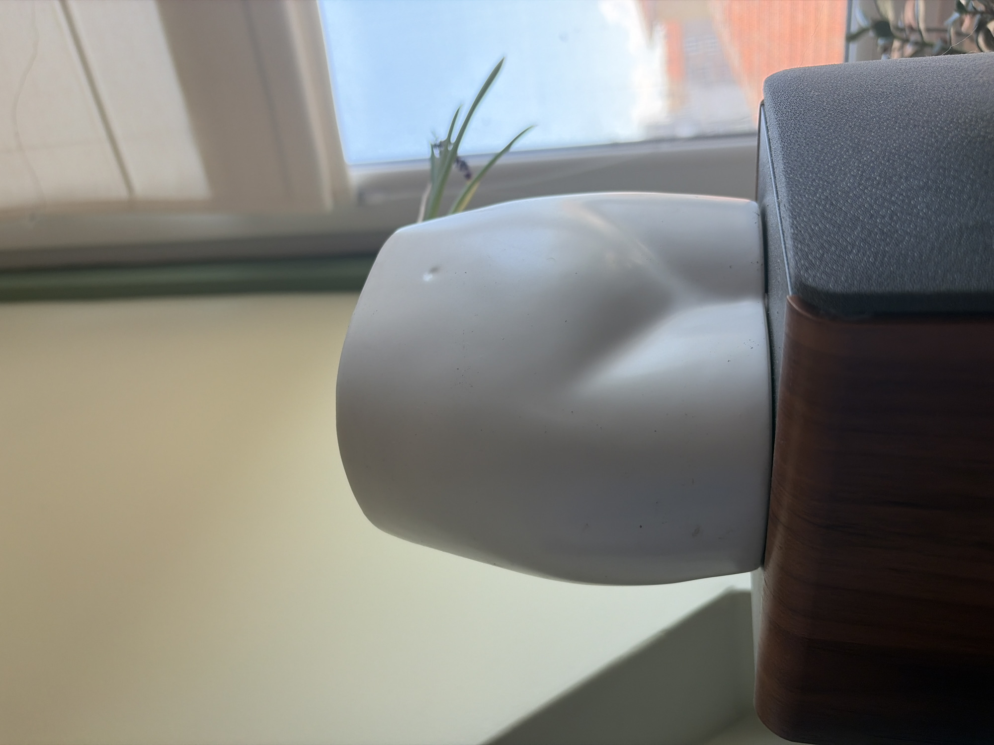Anatomical white planter with plant spotted on speaker