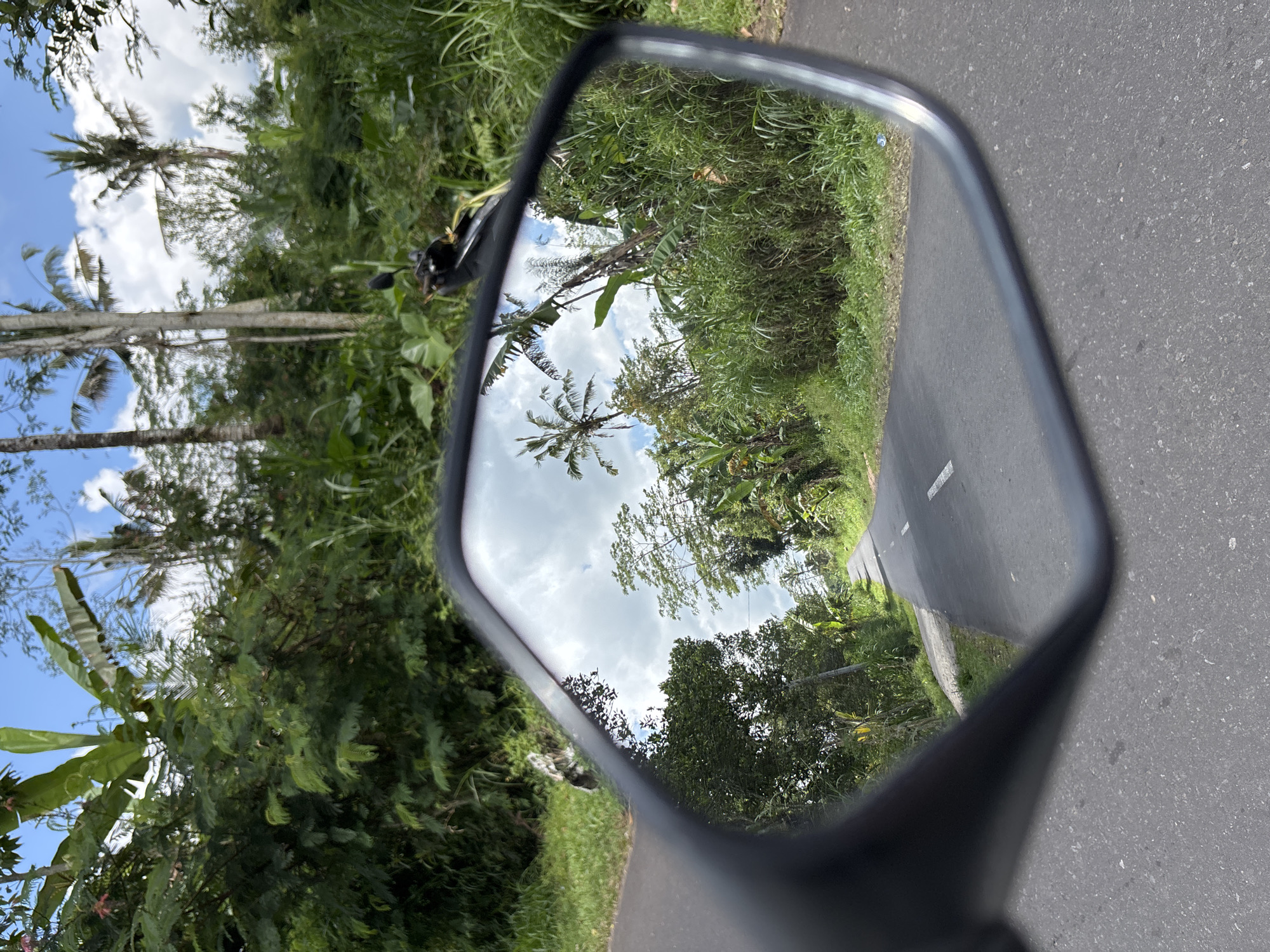 Early morning motorcycle ride through tropical Tegallalang, Indonesia