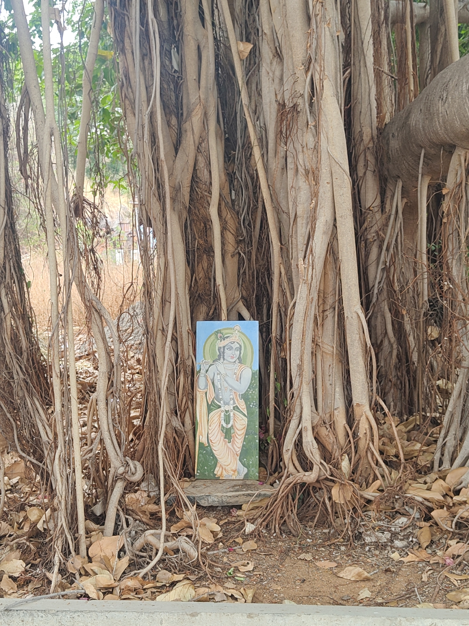 Morning religious activities observed in Puttaparthi, India