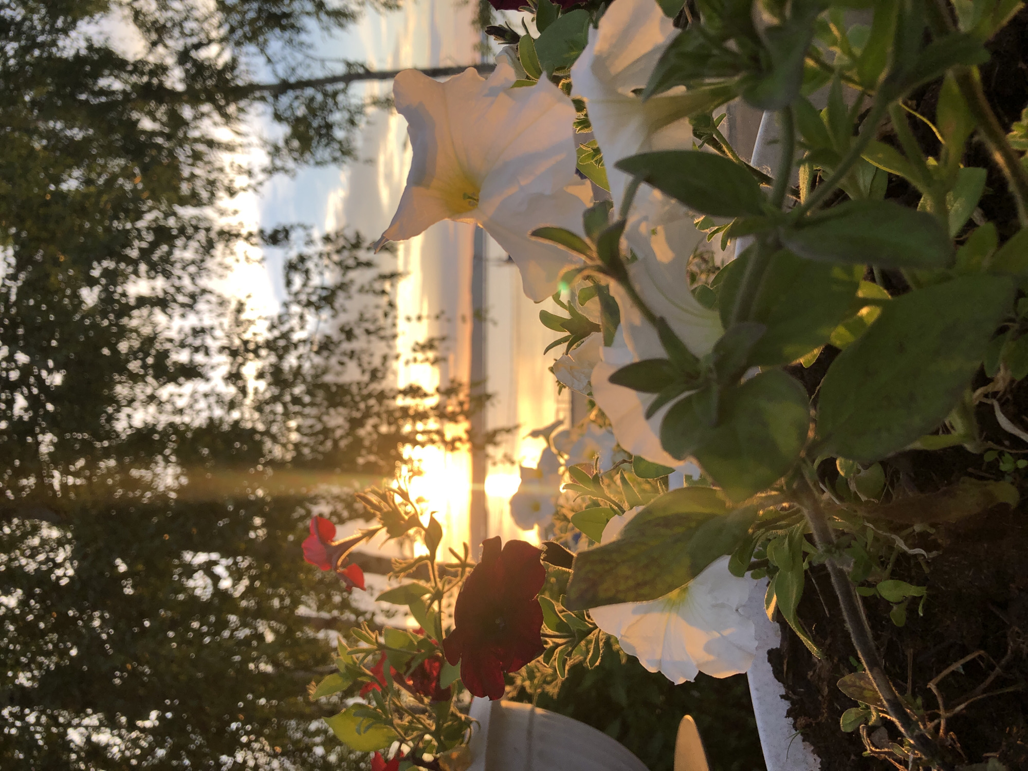 Dramatic Kama River sunset draws a crowd to Chaikovsky's waterfront