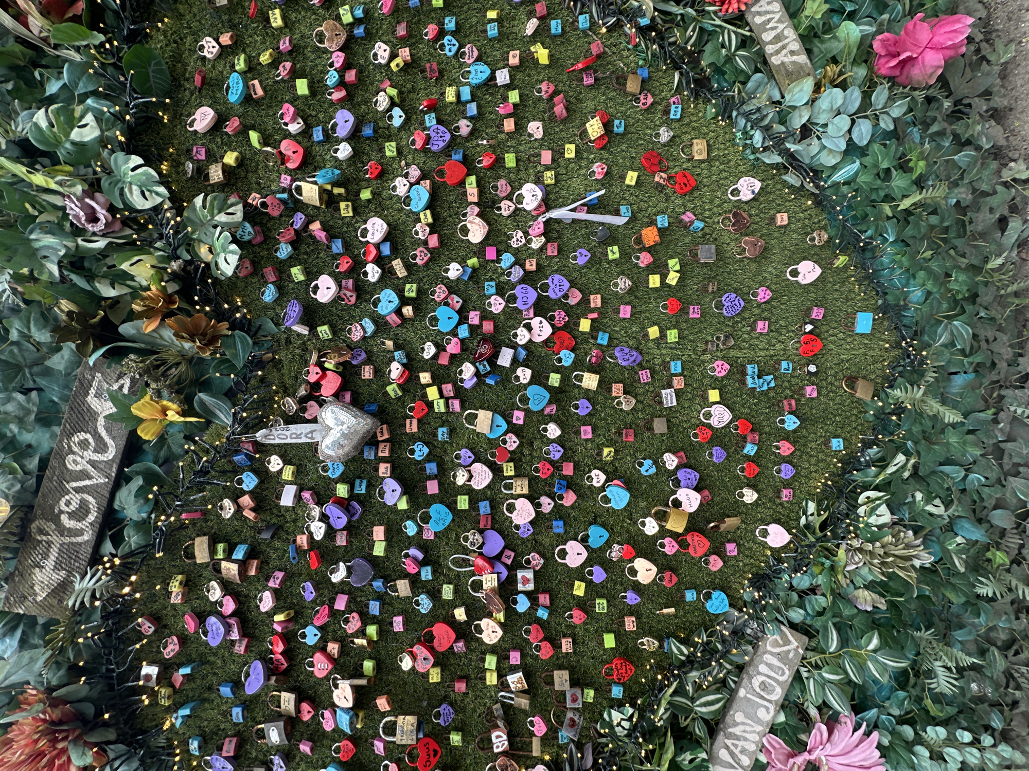 Love locks display spotted on green surface in Amsterdam