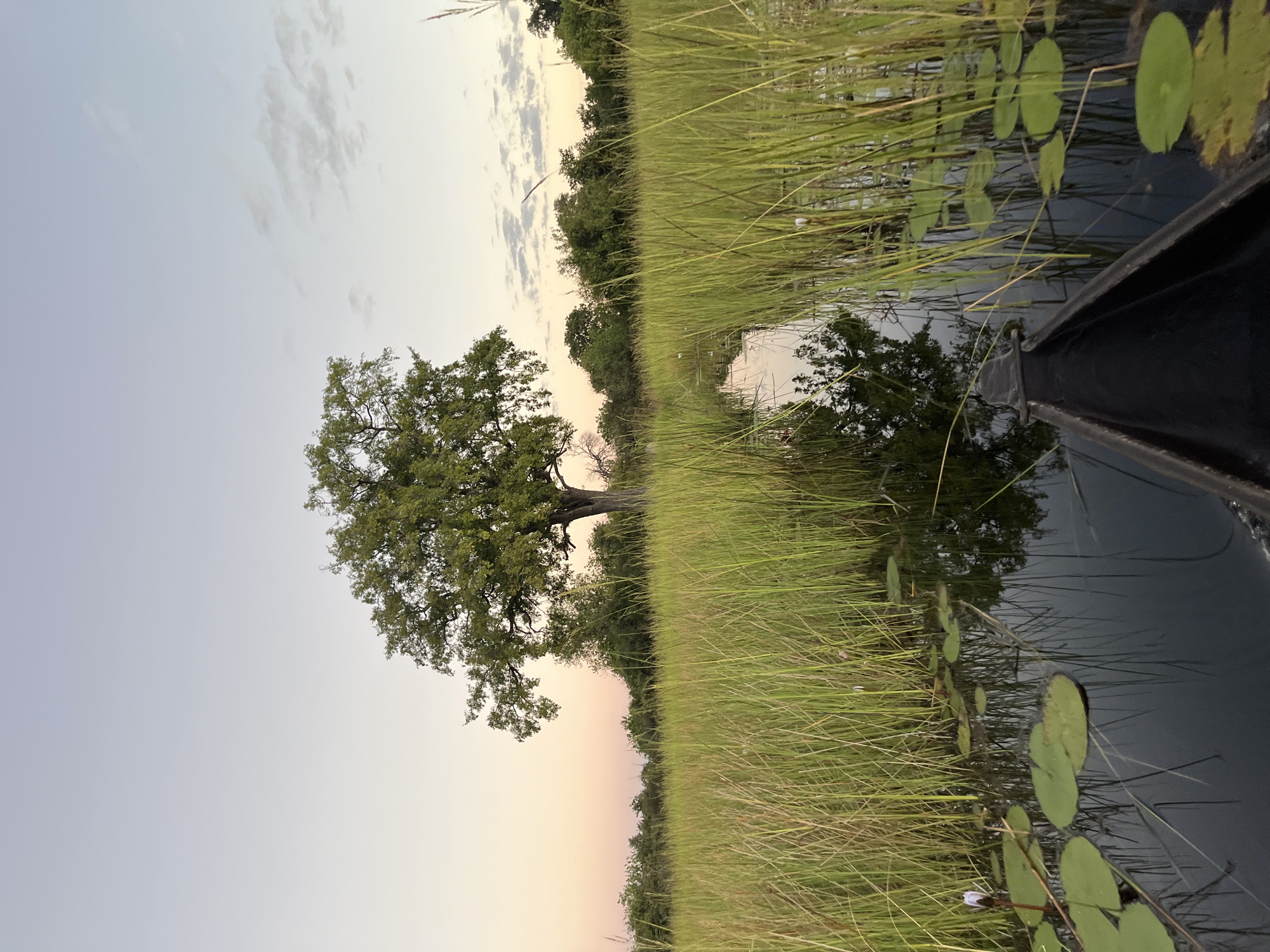Mokoro canoe spotted on peaceful Nwanaeanoka waterway, Botswana