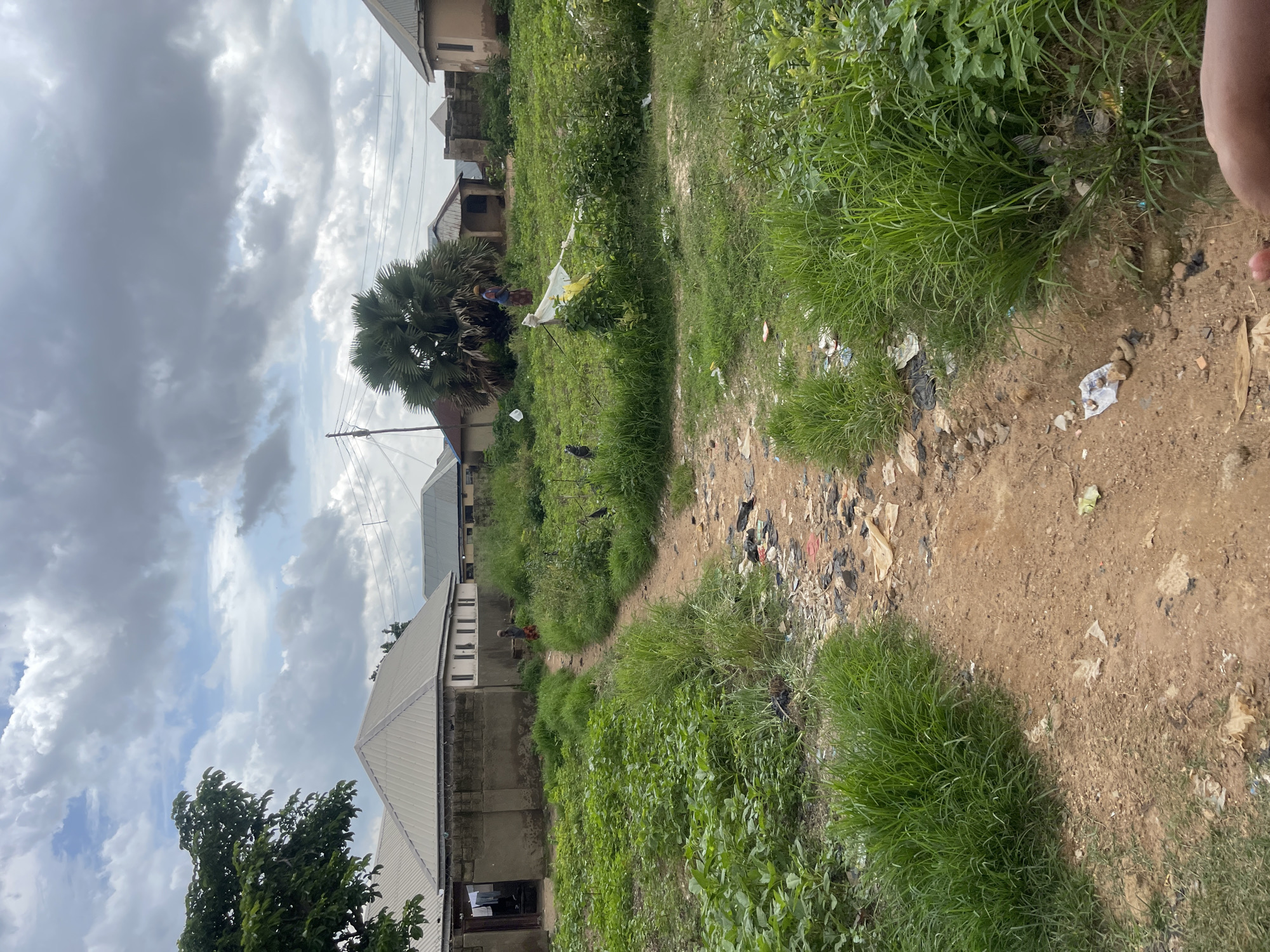 Crops, overgrowth, and everyday life on Rafin Par's urban edge