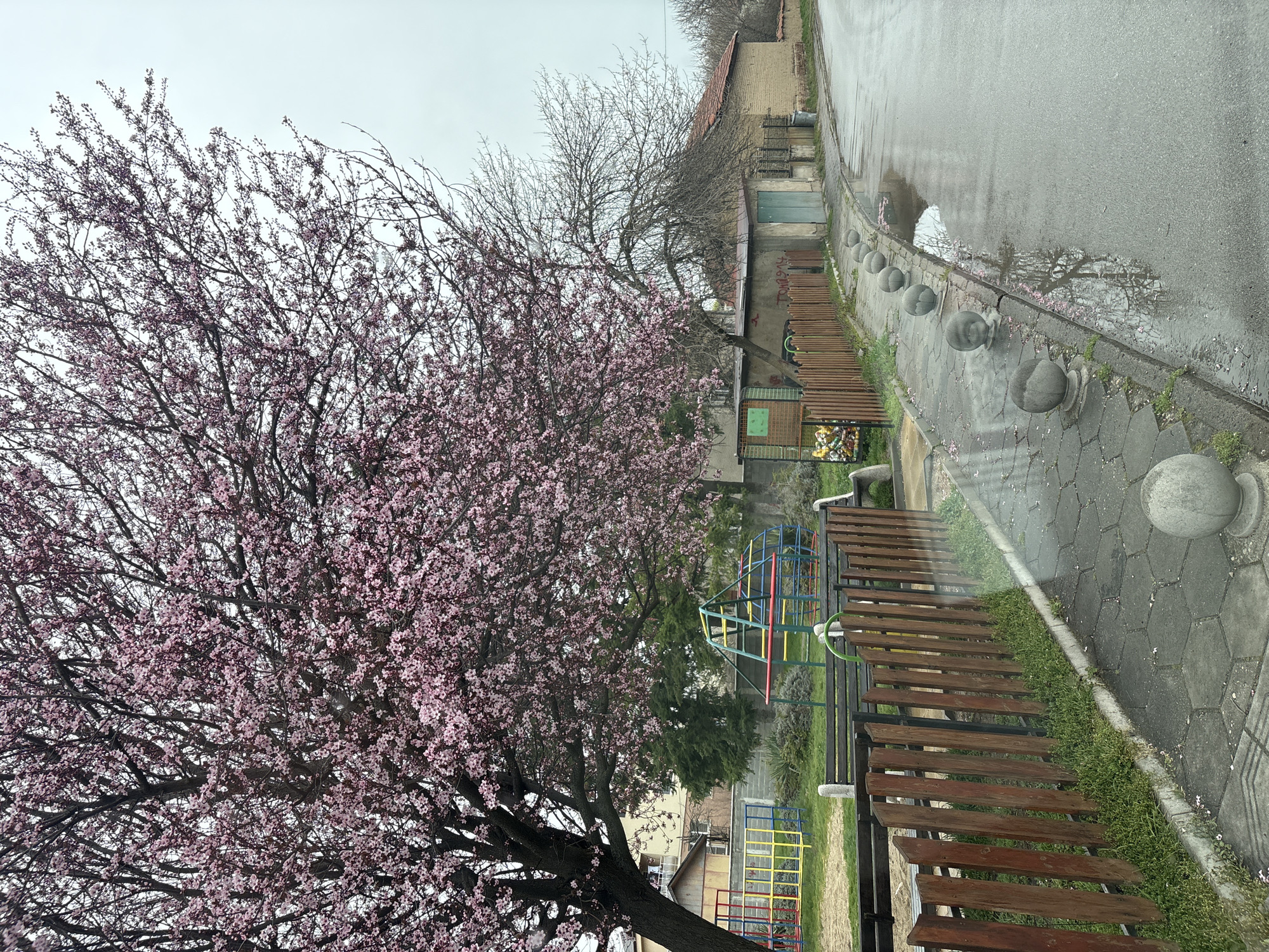 Spring blossoms and playground spotted in Bulgarian village