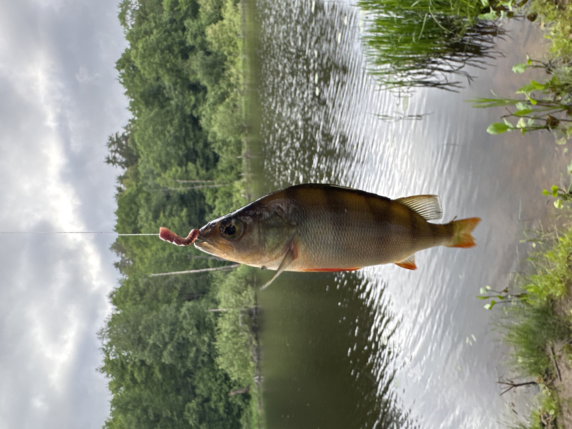 Fishing trip and campfire gathering documented in Noviy, Russia