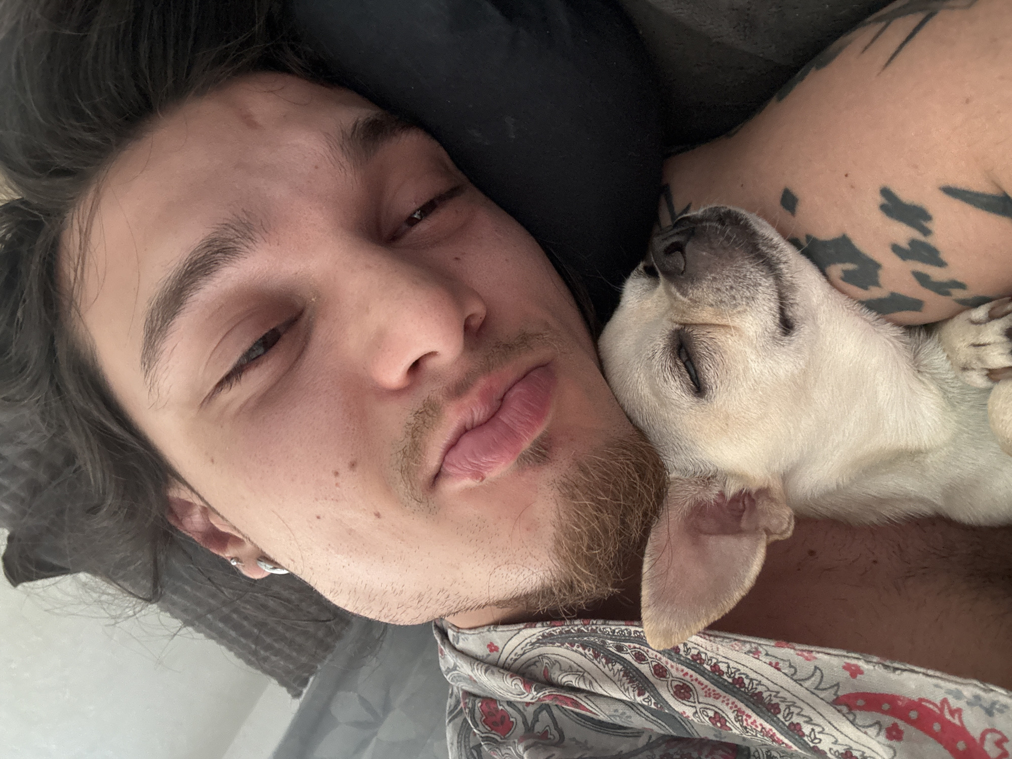 Man and Chihuahua Share Morning Cuddle in Sofia