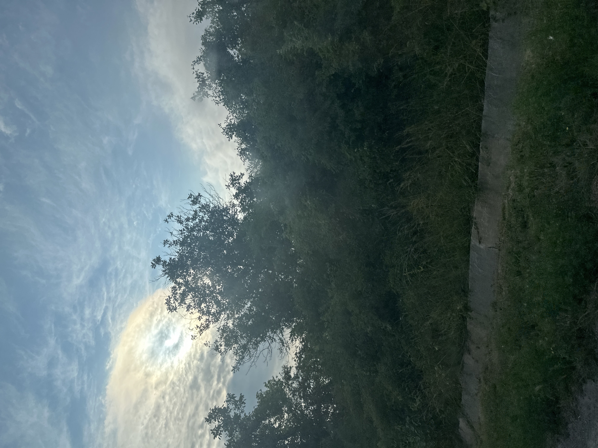 Road trip through Lovech's tree-lined countryside on a cloudy morning