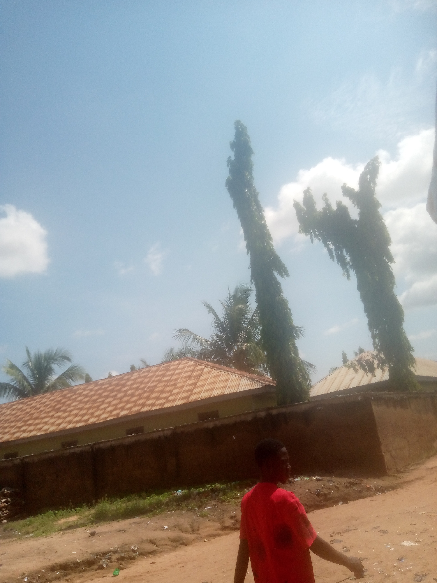 Daily street life documented across Jalingo, Nigeria neighborhoods